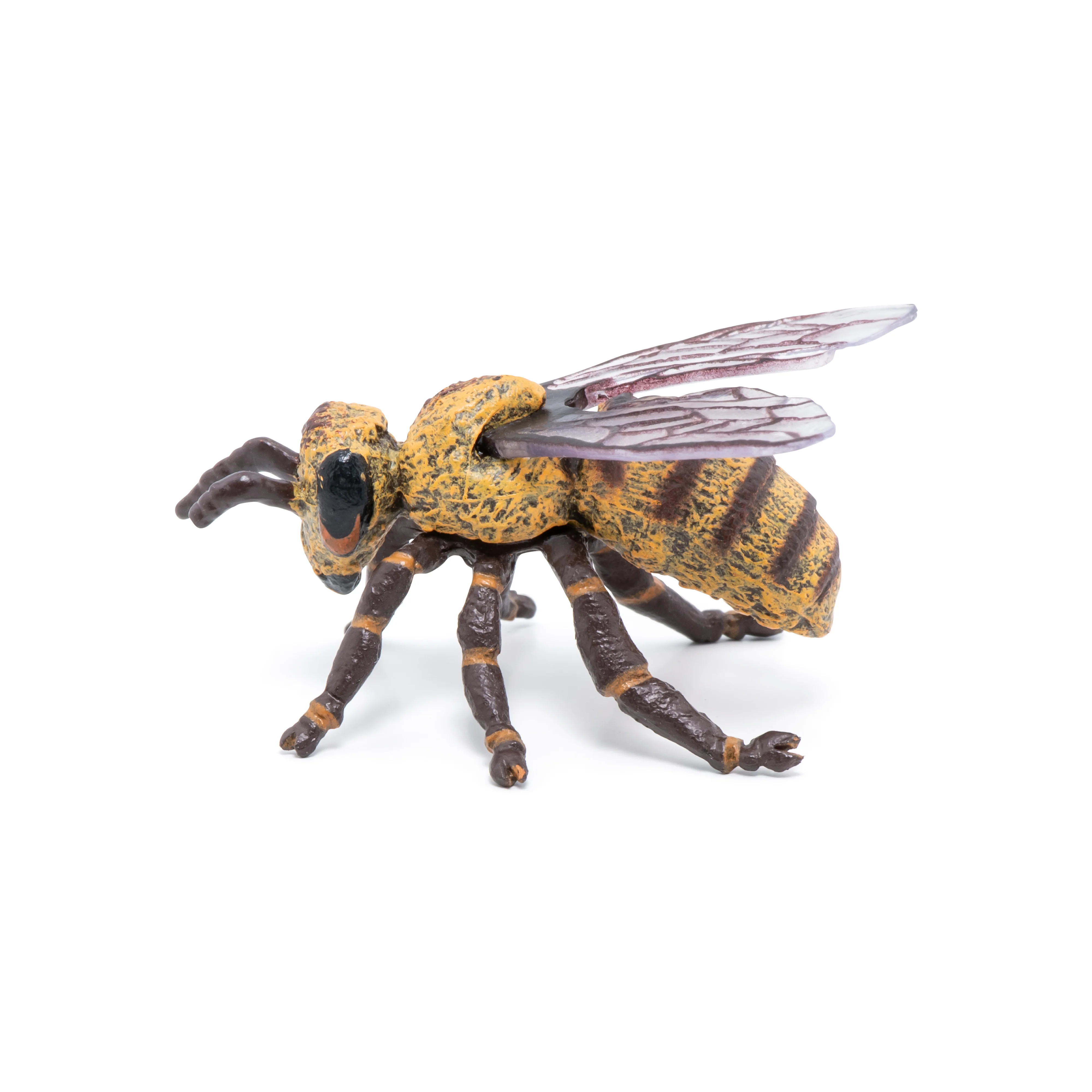 Miniature 5