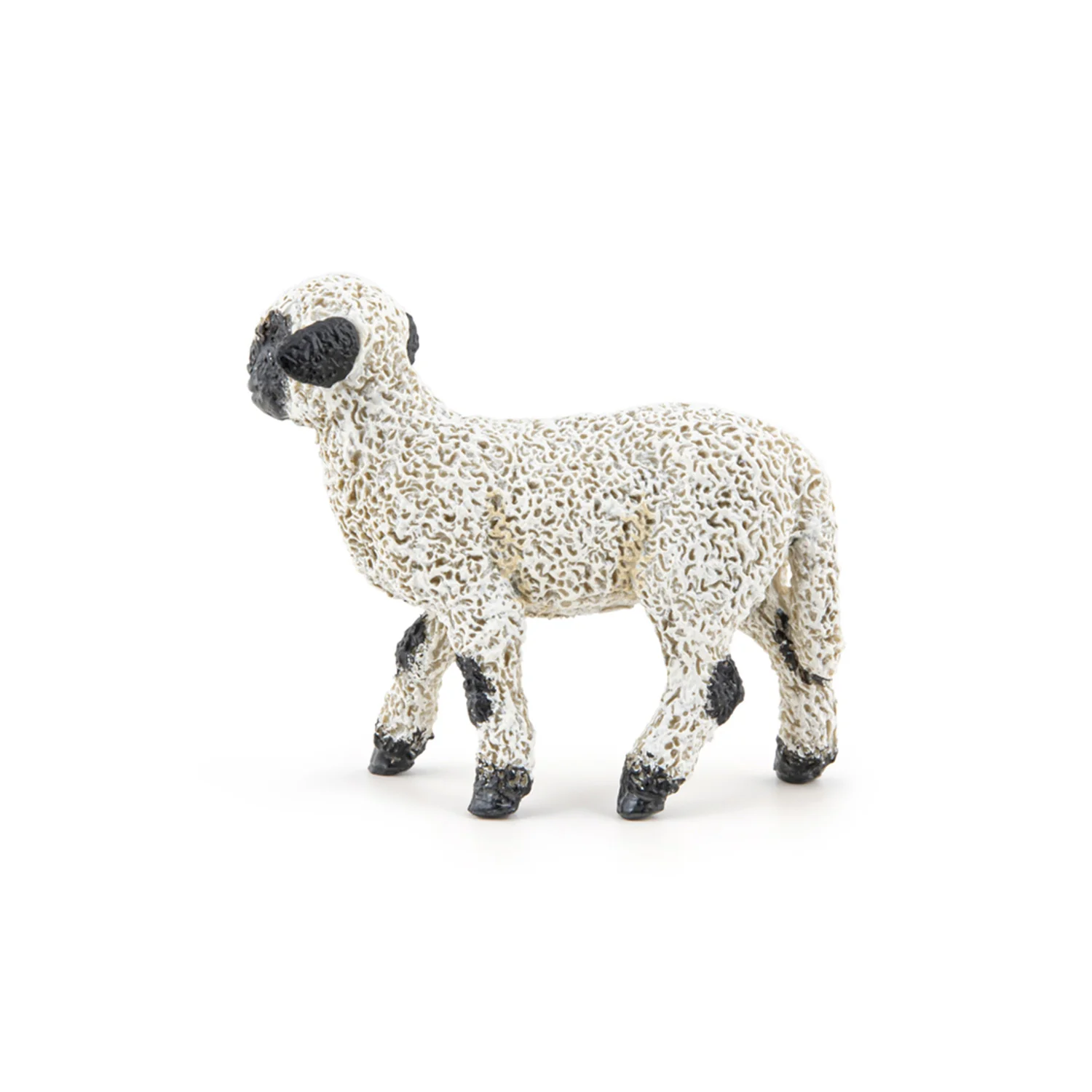 Miniature 5