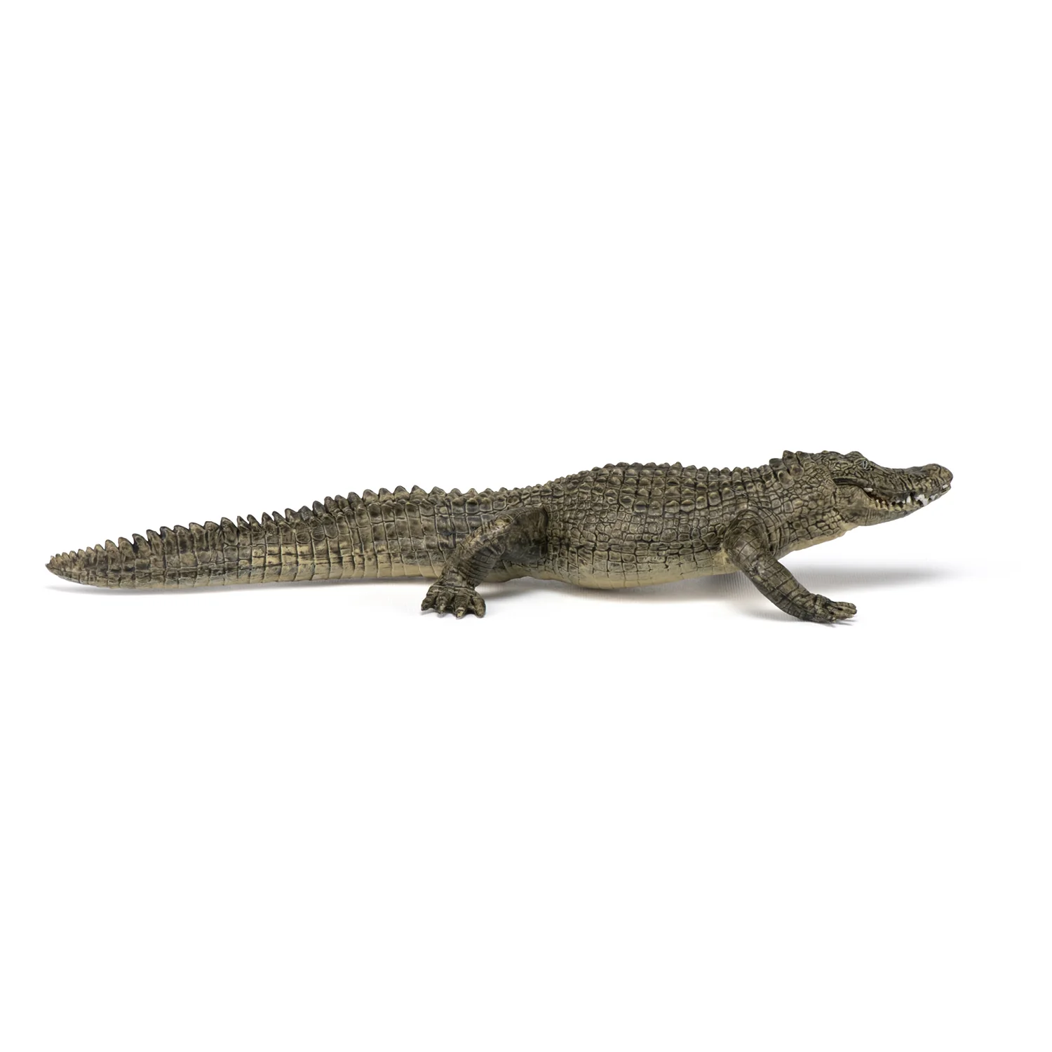 Miniature 3