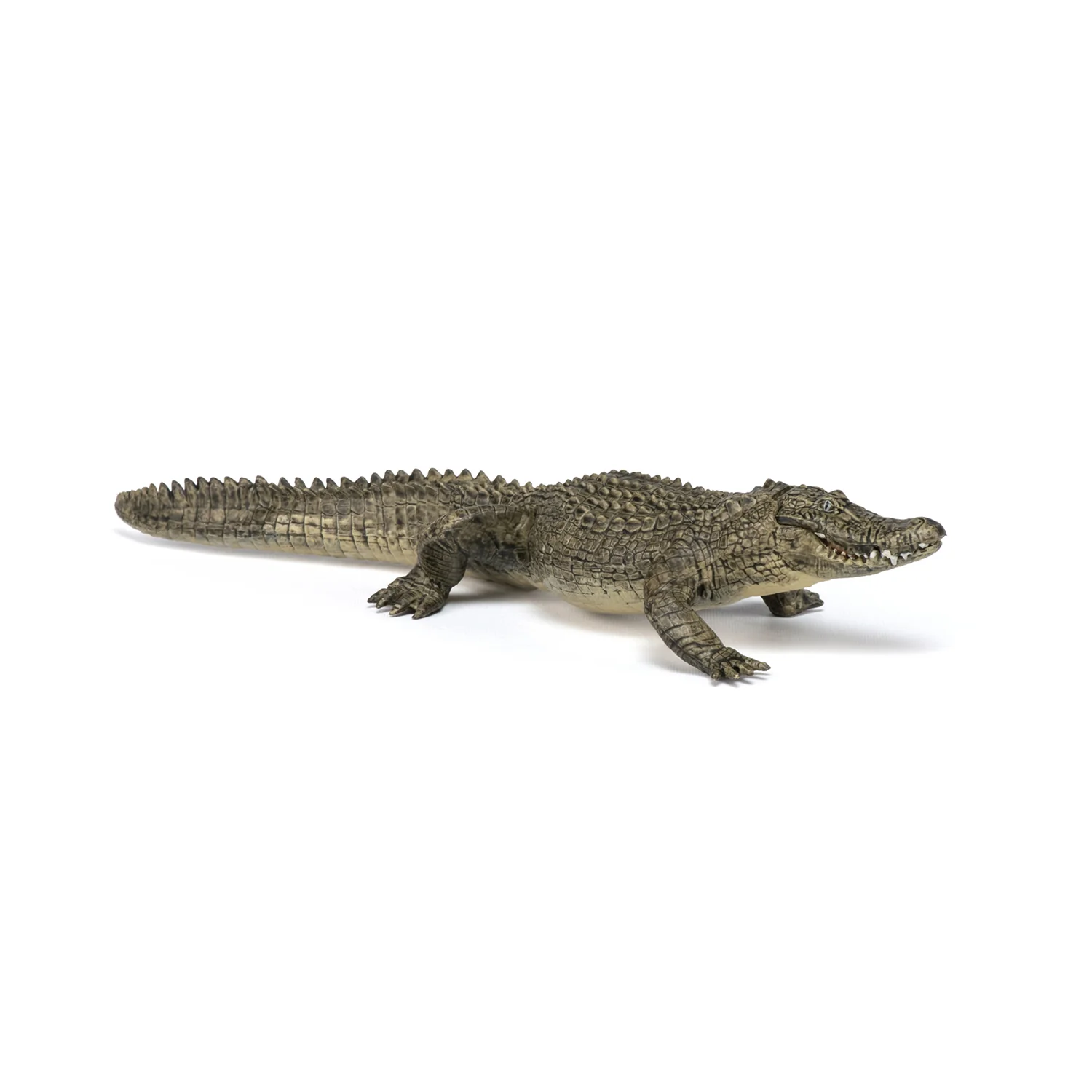 Miniature 4