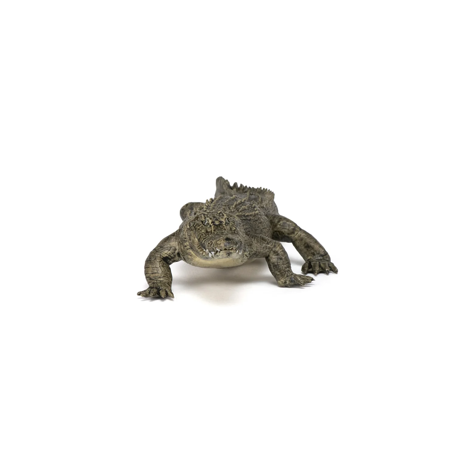 Miniature 5