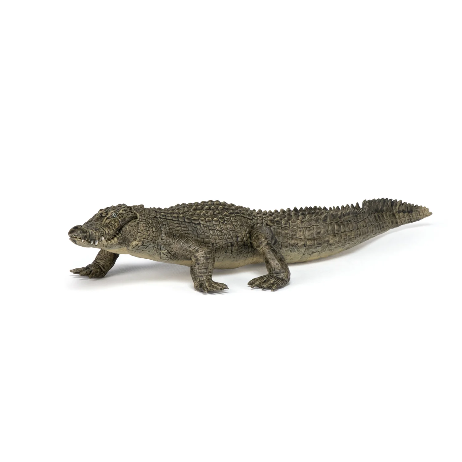 Miniature 6