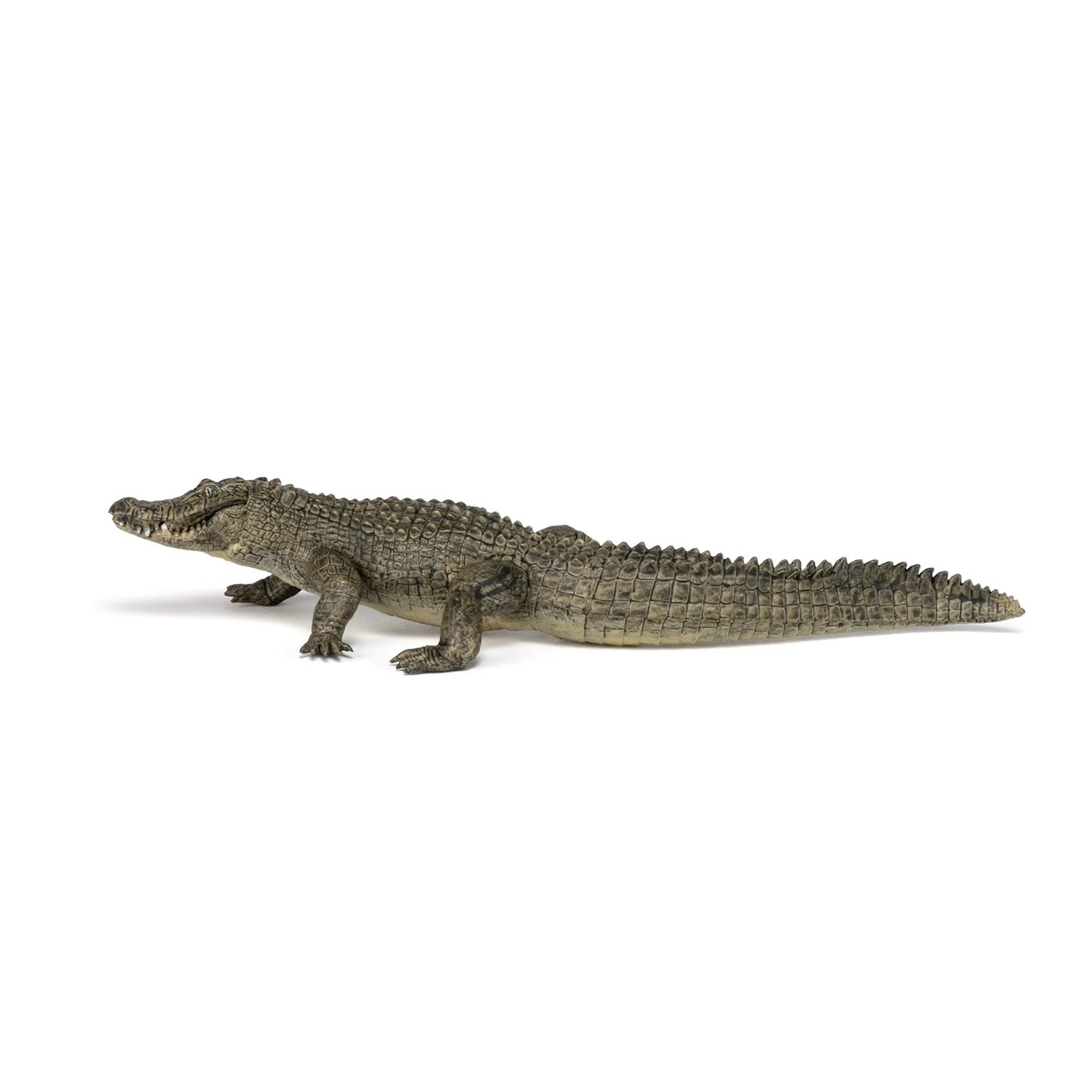 Miniature 7