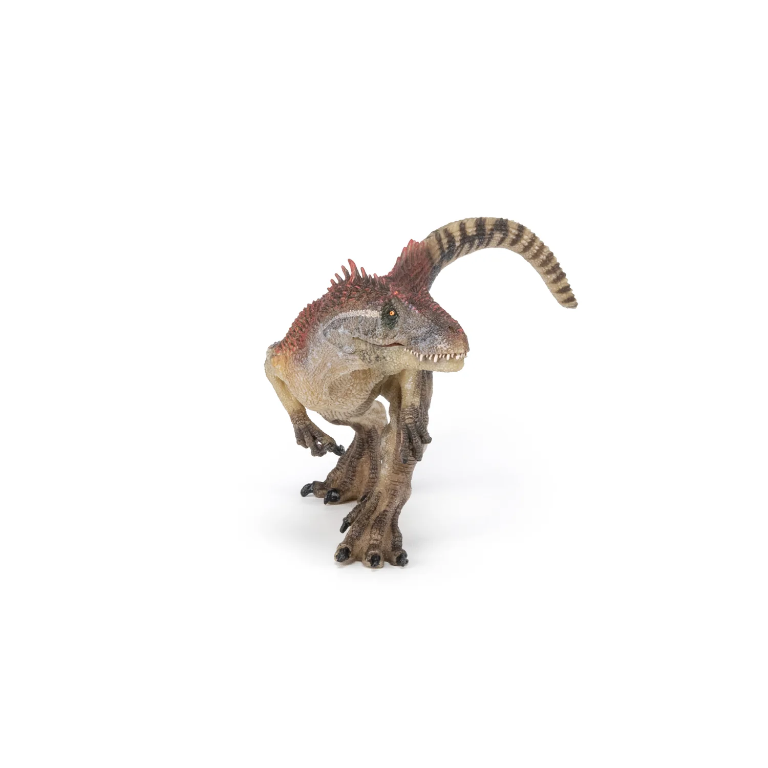Miniature 5