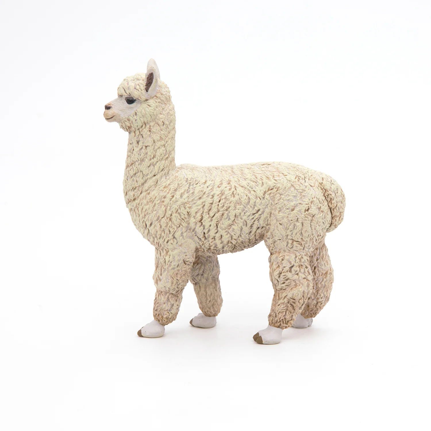 Miniature 5