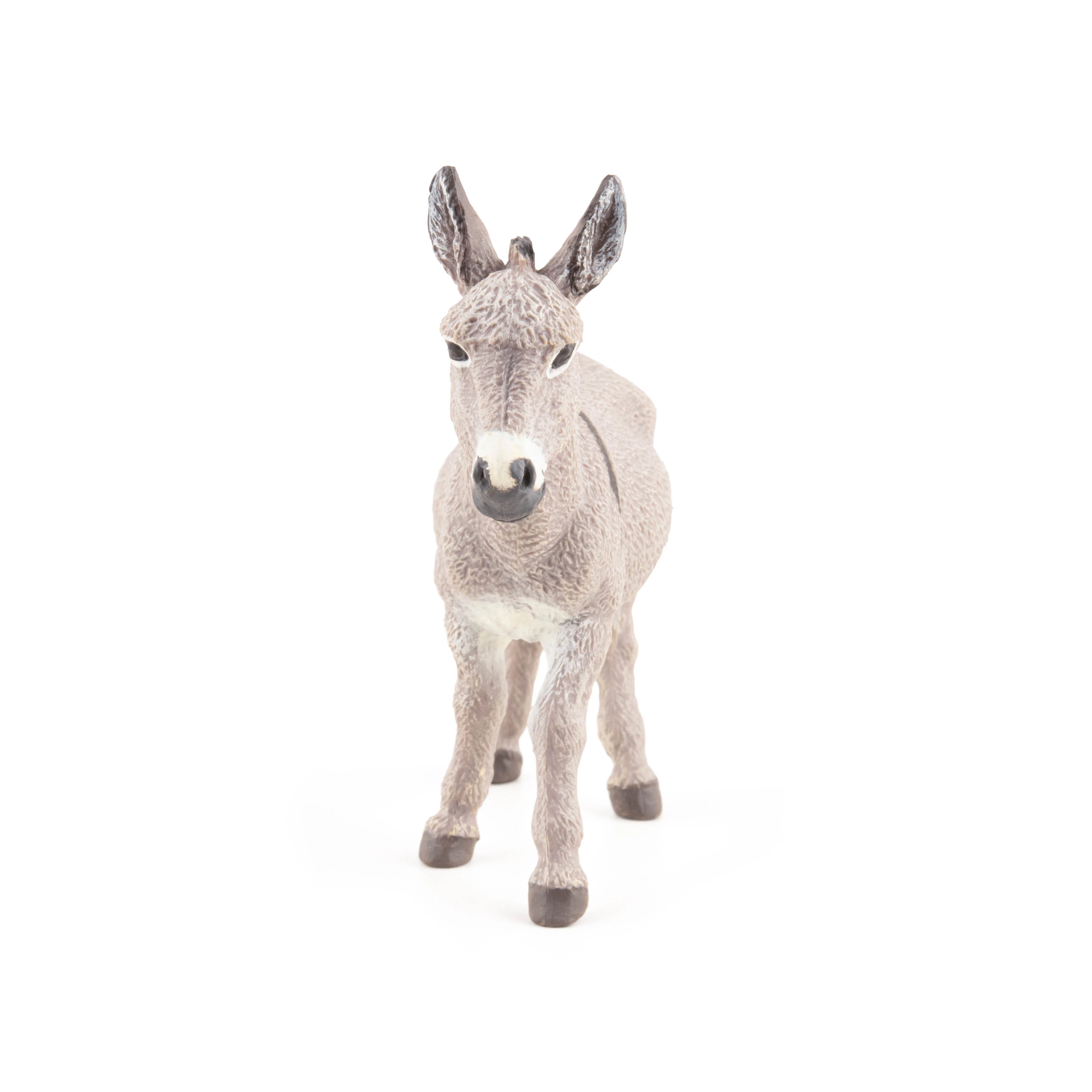 Miniature 4