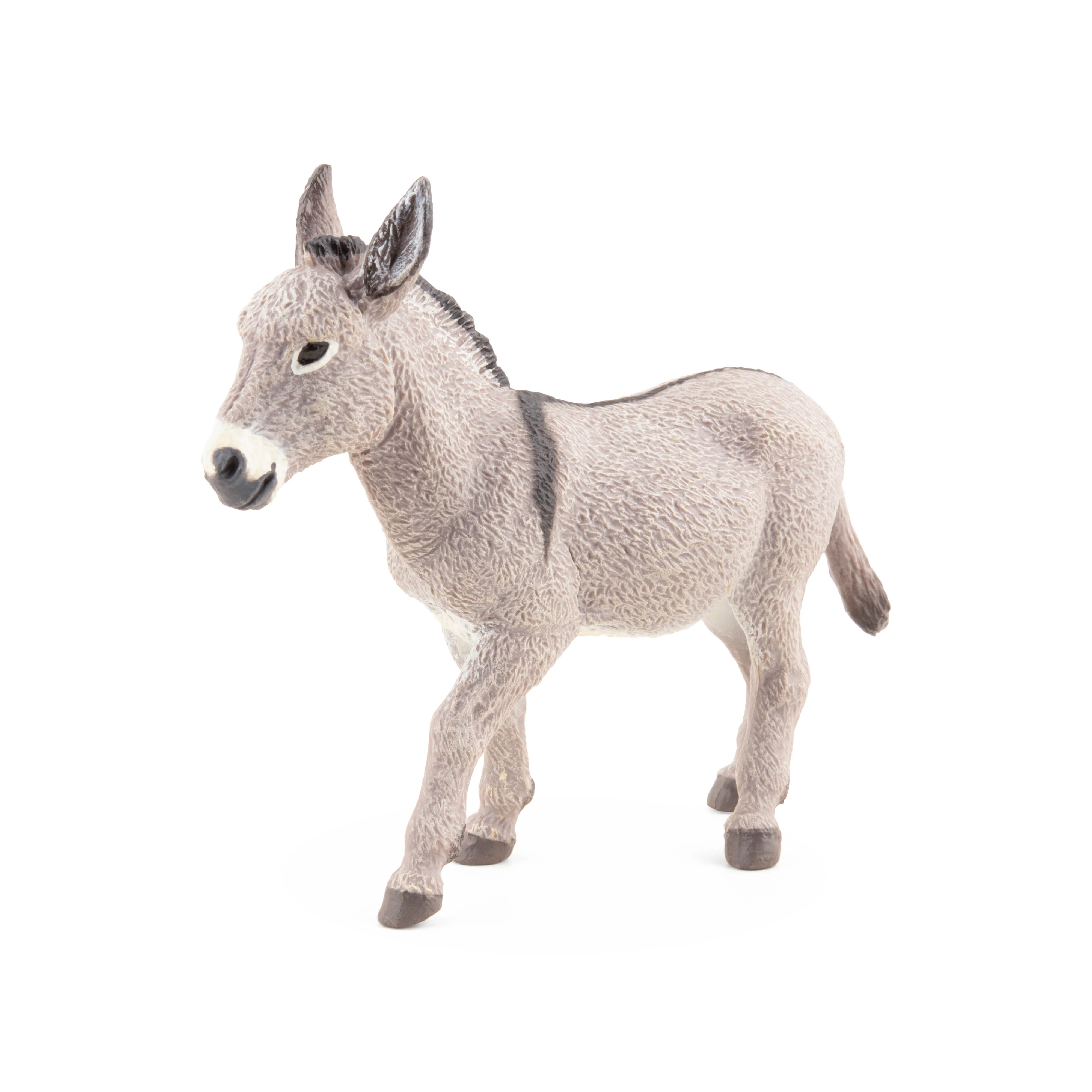 Miniature 5