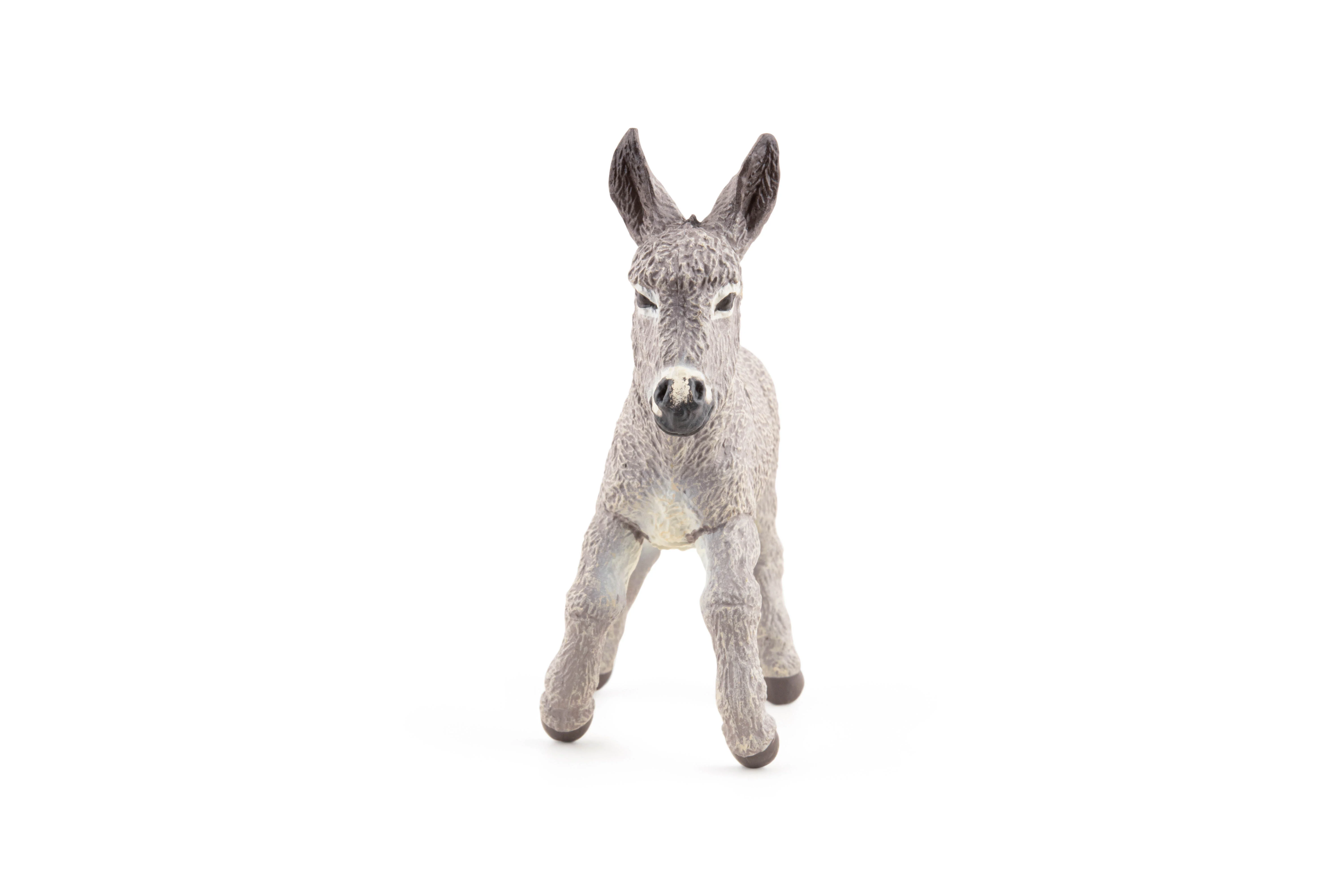 Miniature 4