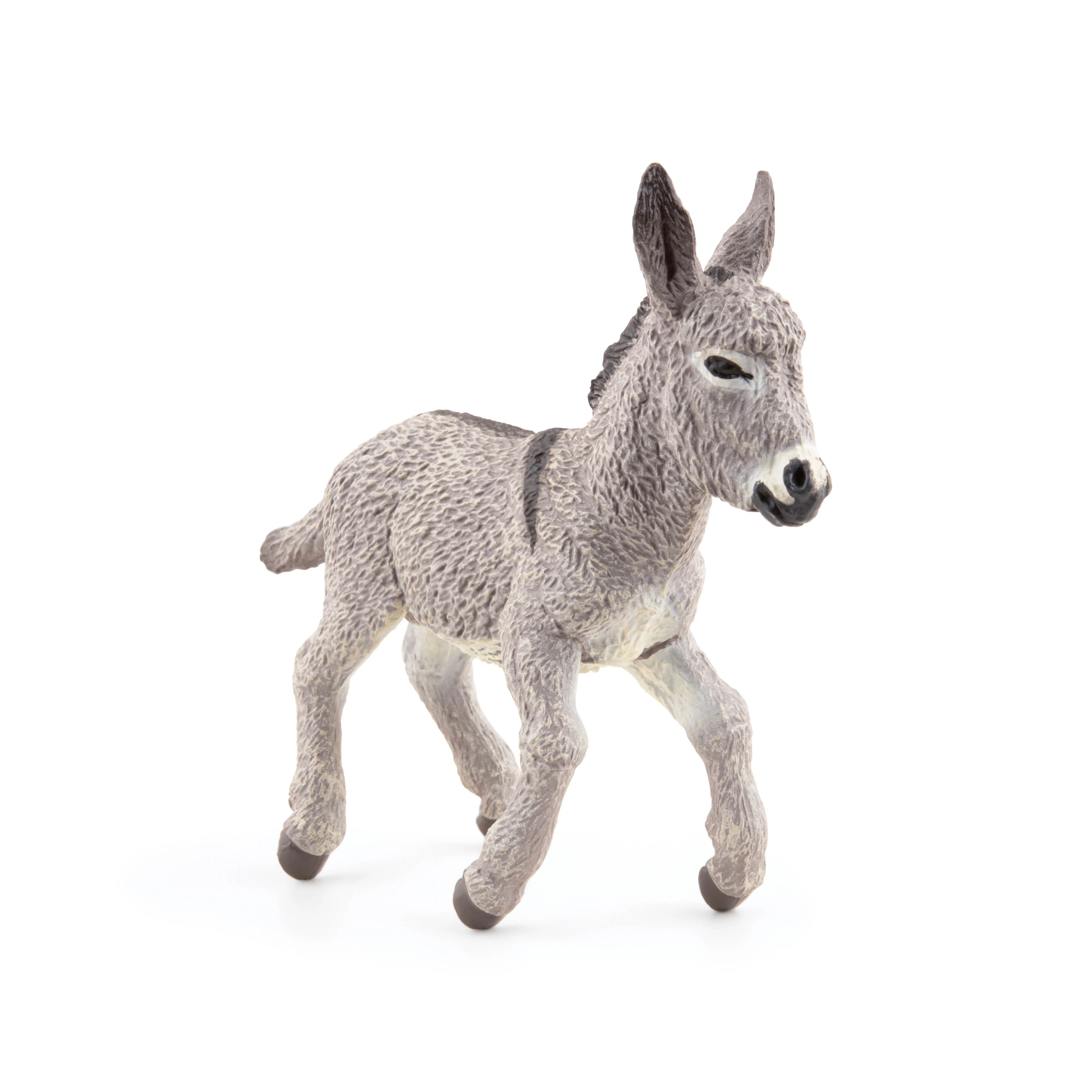 Miniature 5
