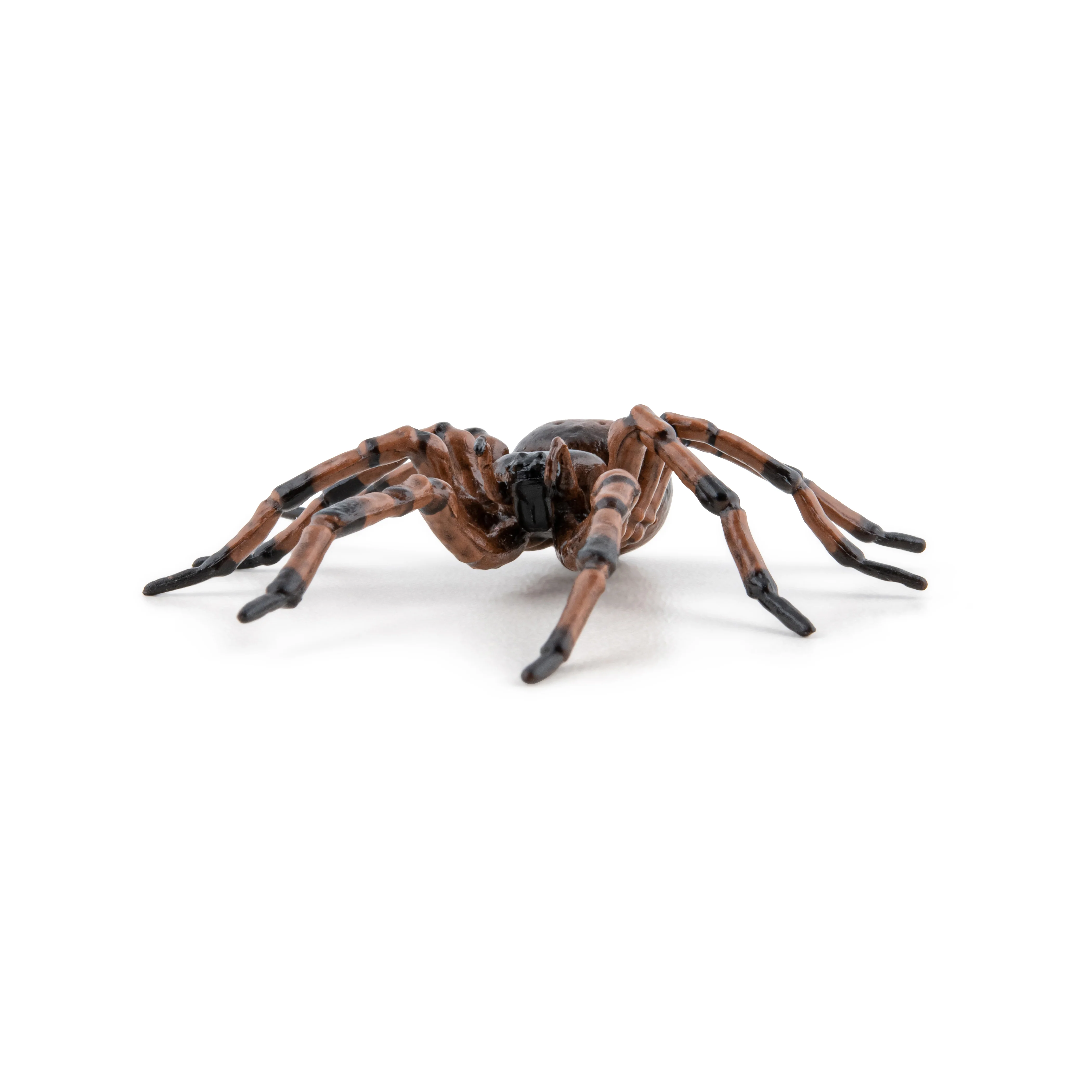 Miniature 3