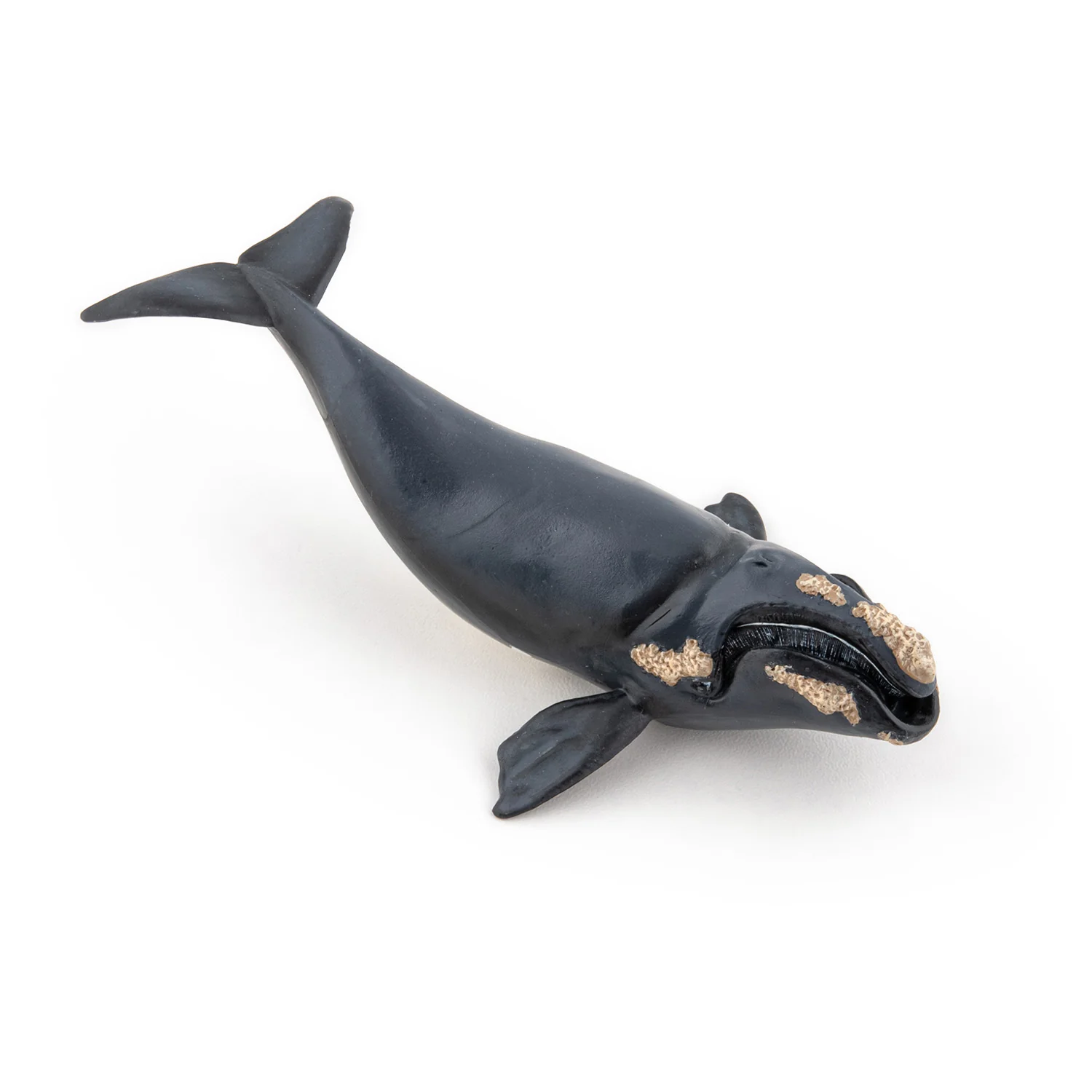 Miniature 6