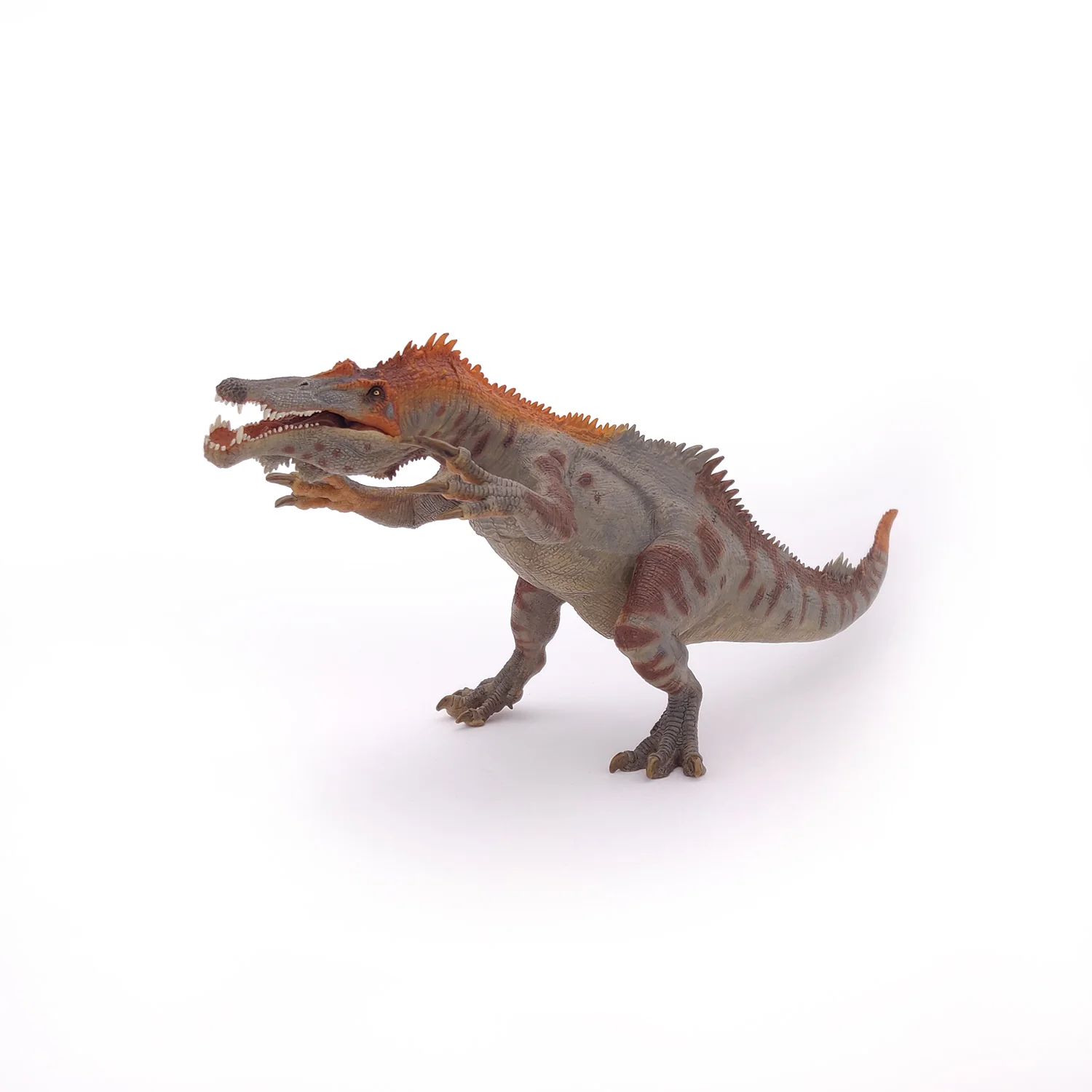 Miniature 5