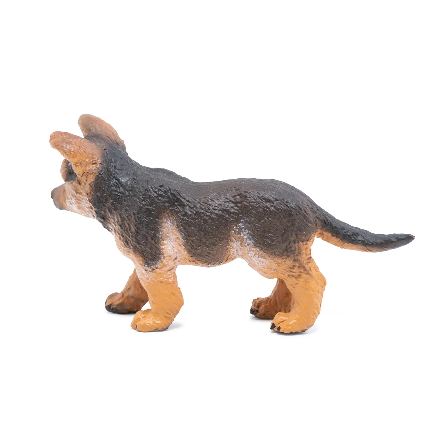 Miniature 5
