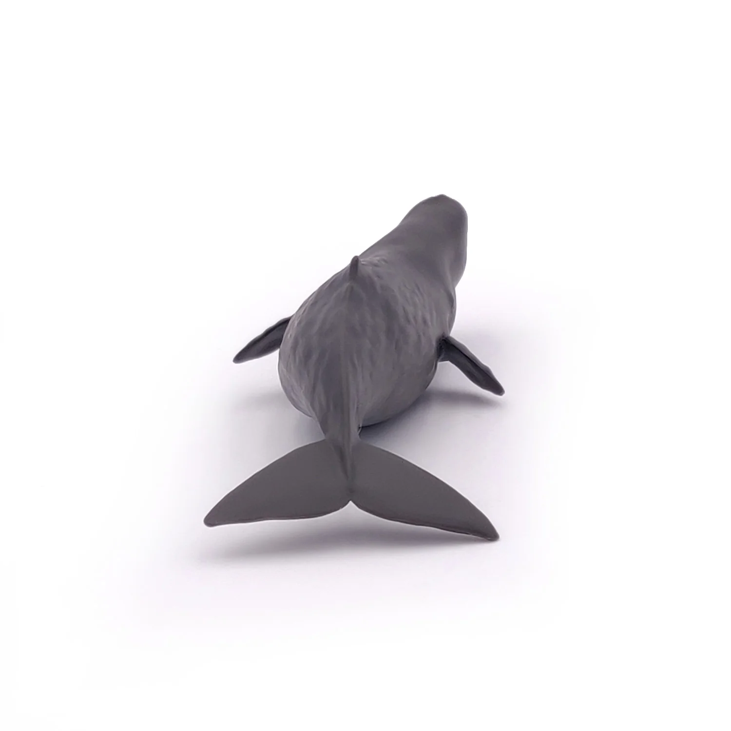 Miniature 5