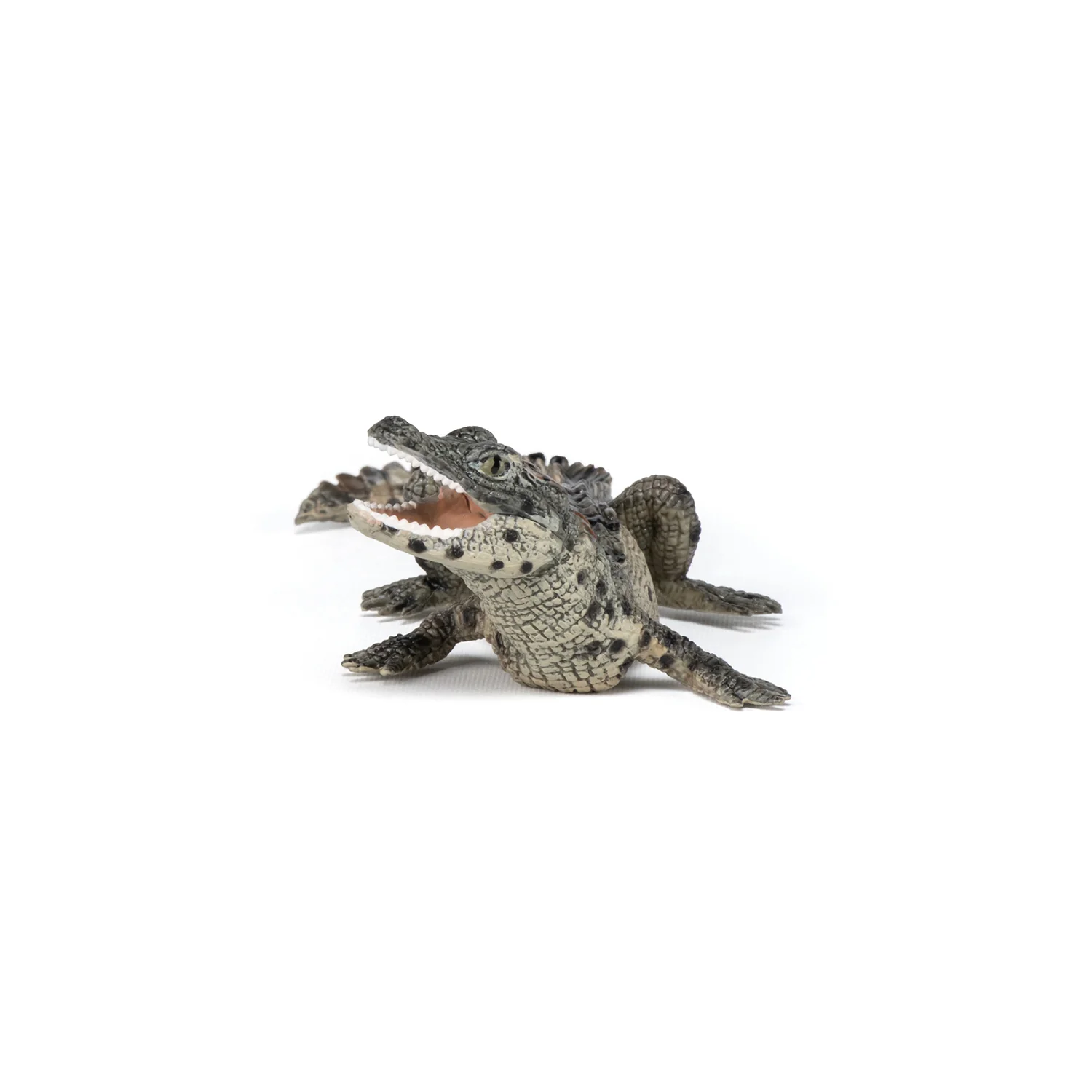 Miniature 3