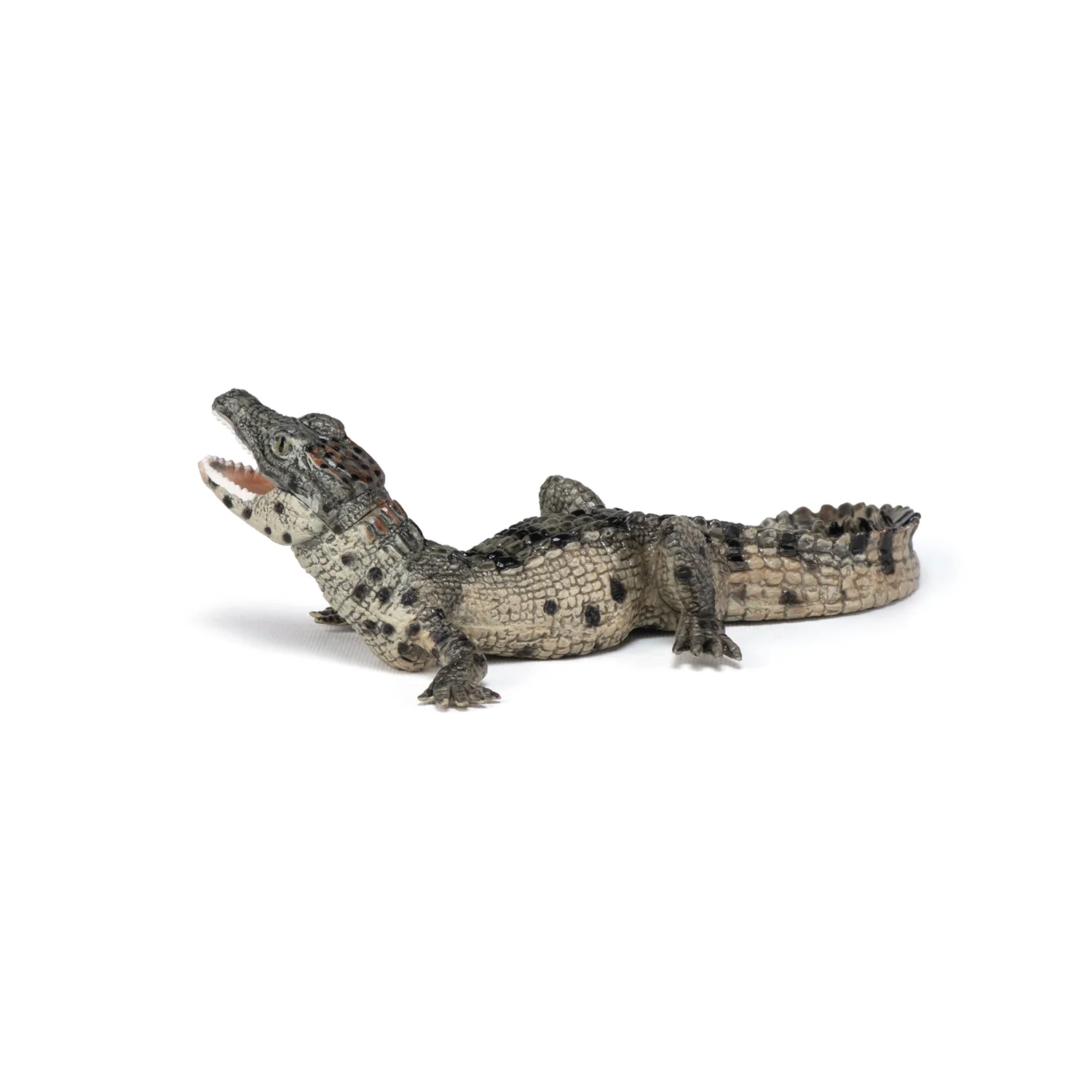 Miniature 4