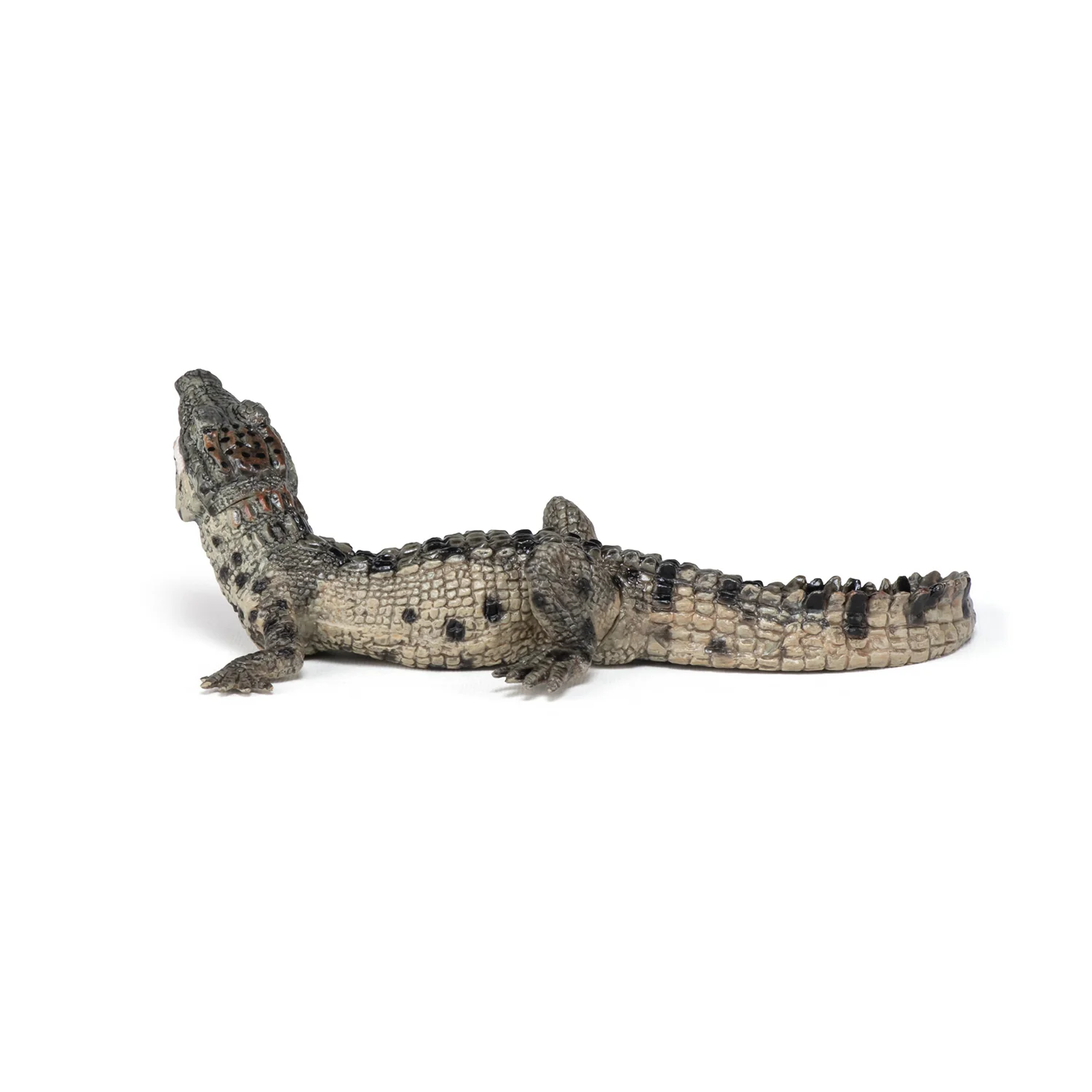 Miniature 5