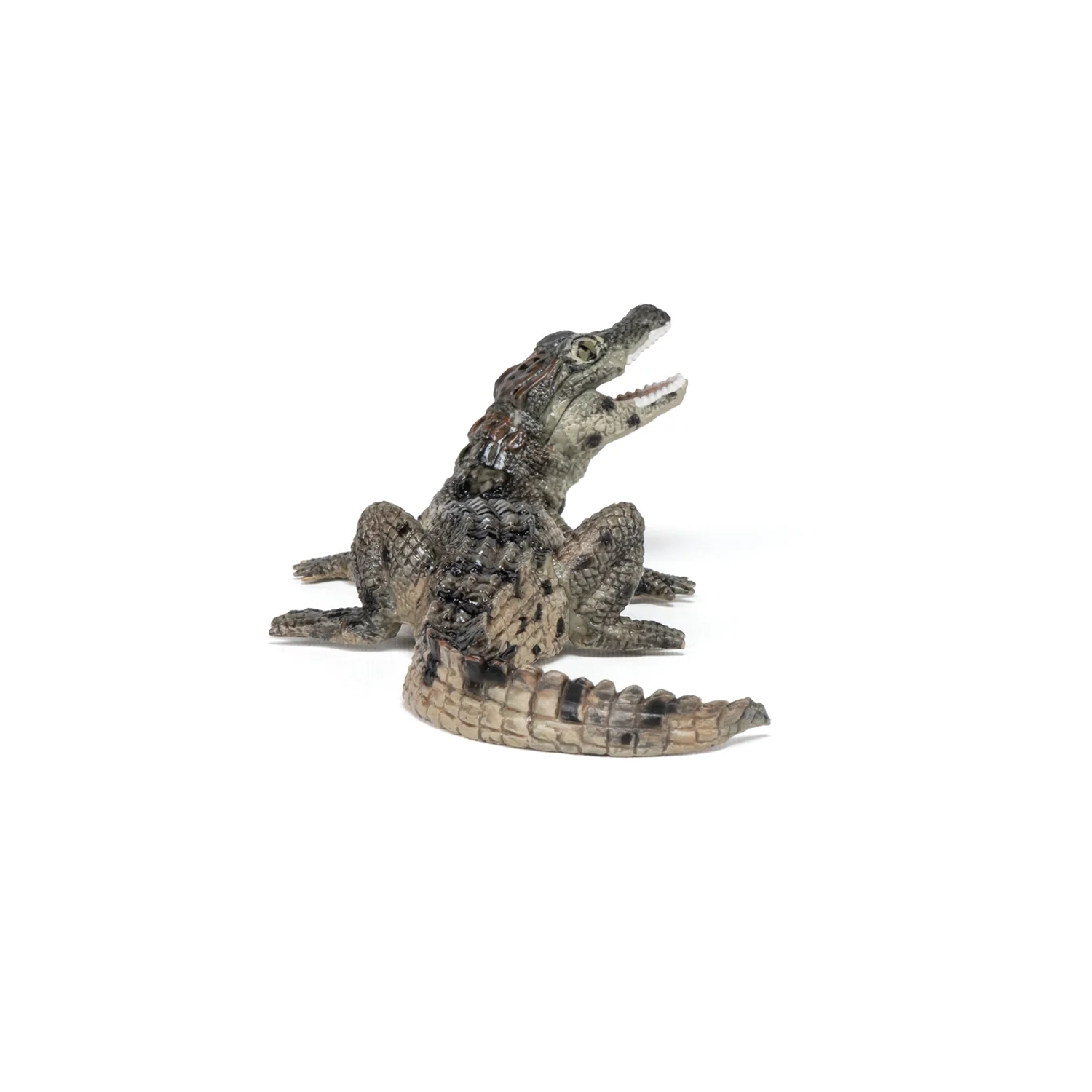 Miniature 6