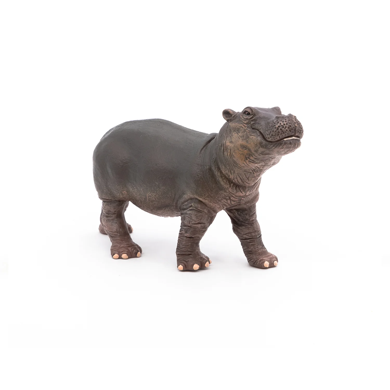 Miniature 3