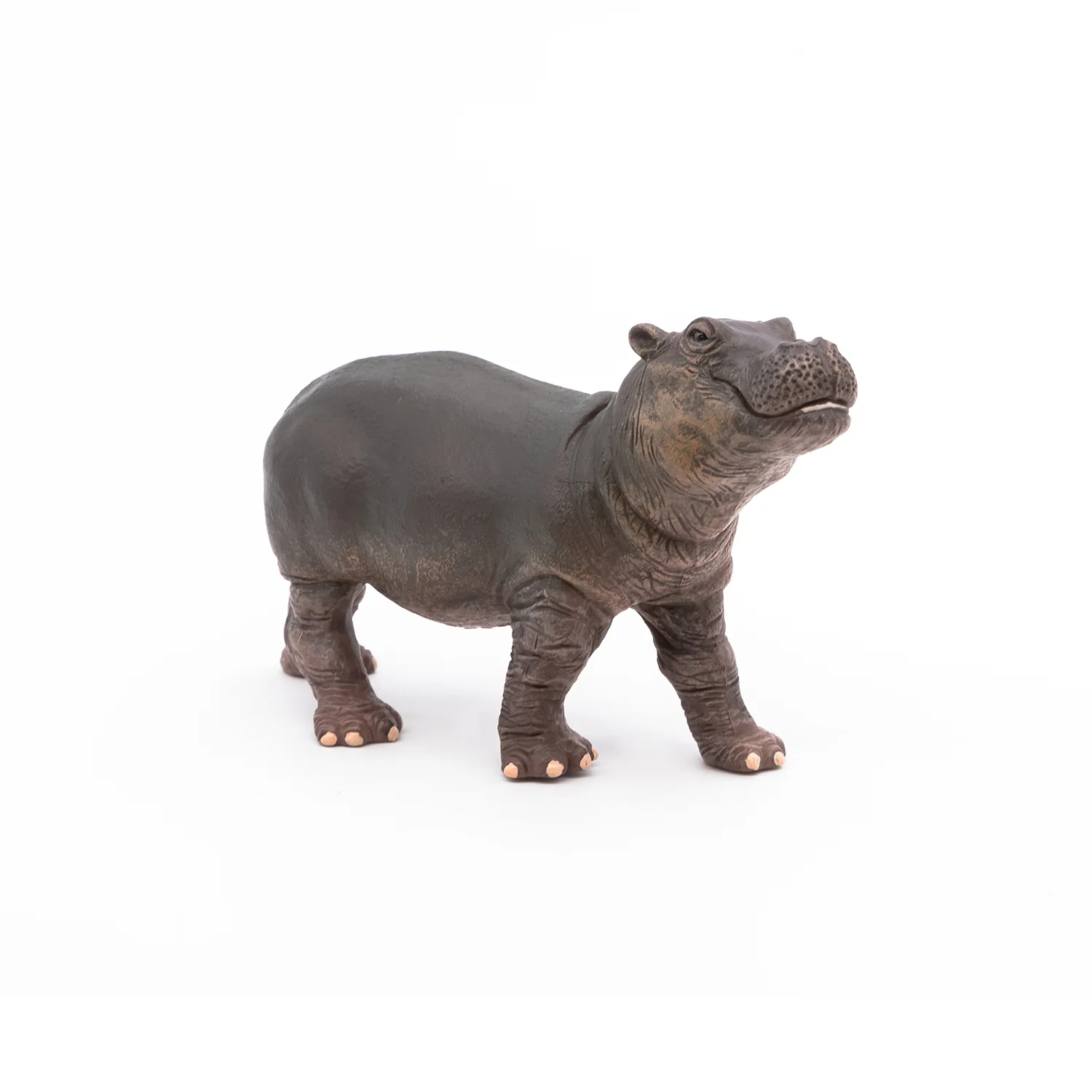 Miniature 4