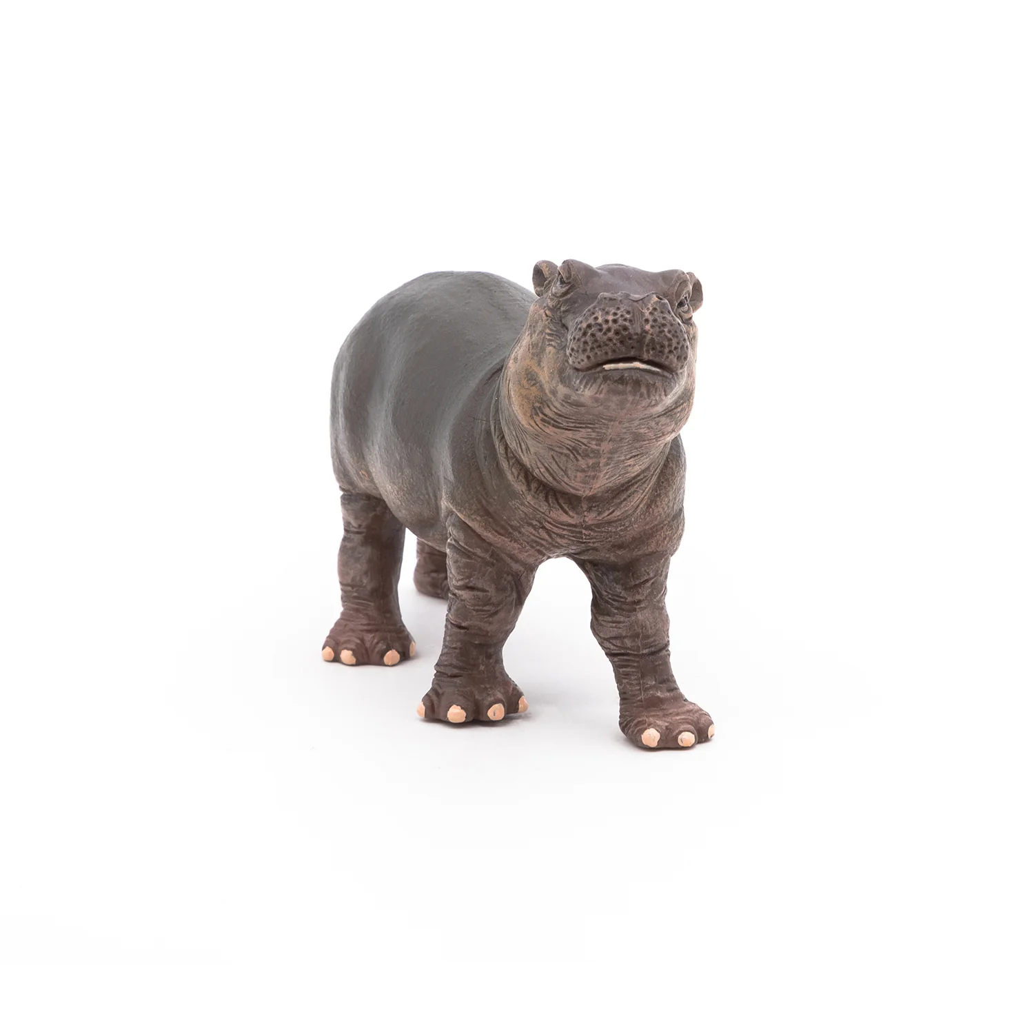 Miniature 5