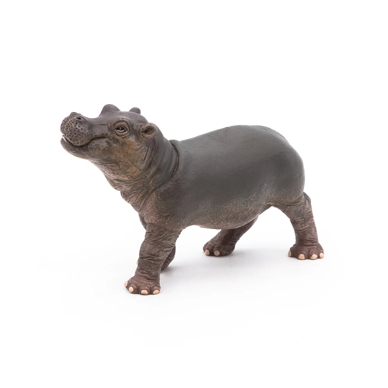 Miniature 6