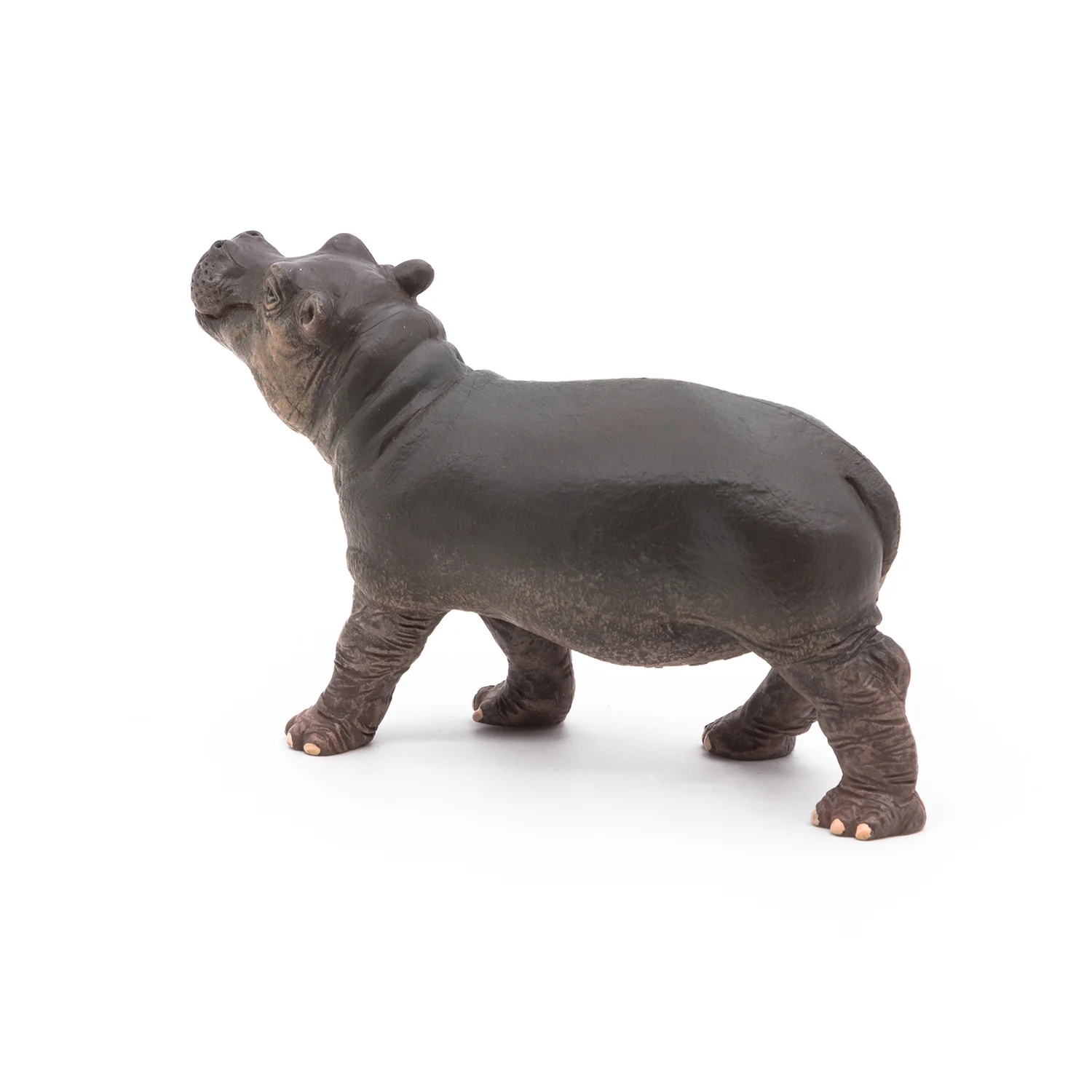Miniature 7