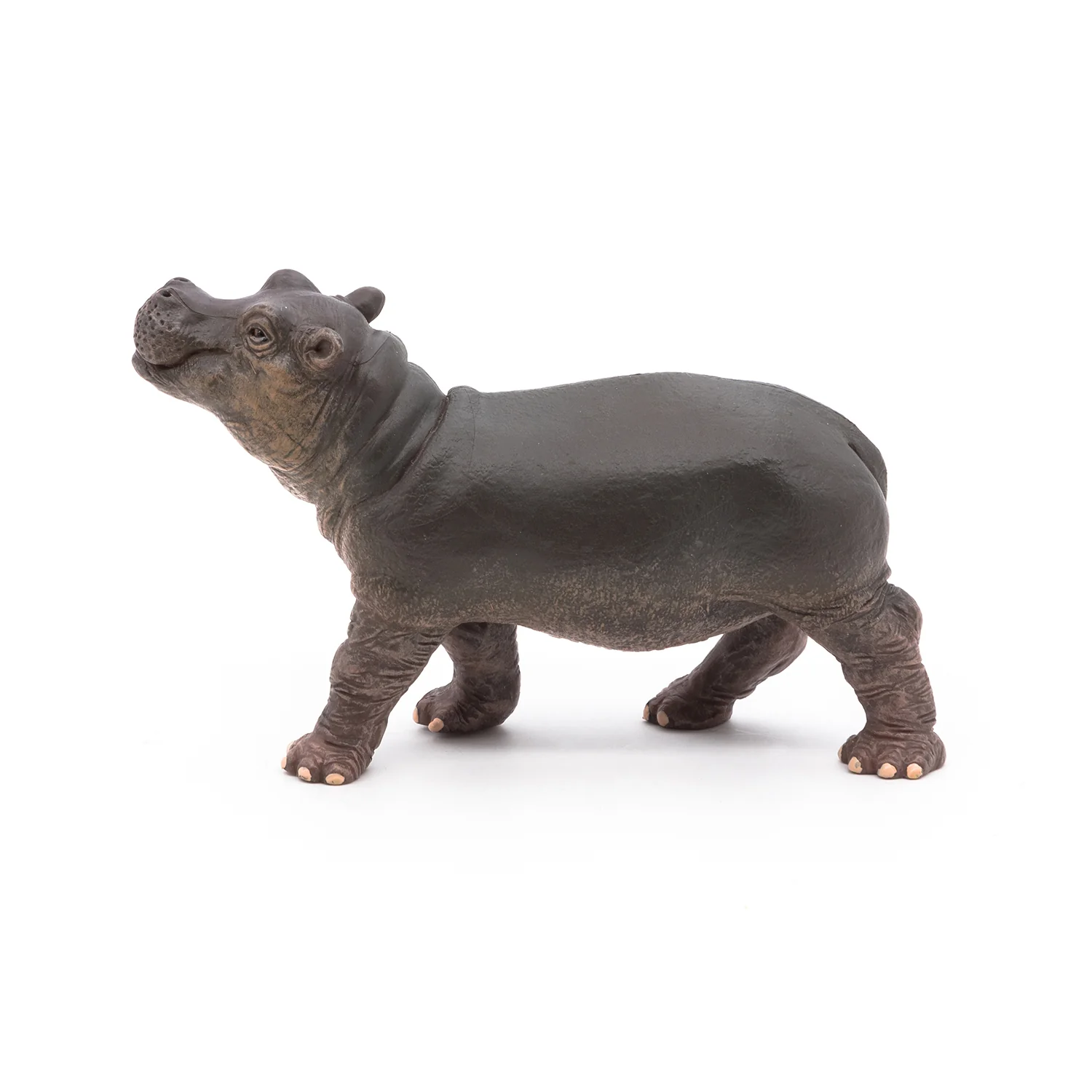 Miniature 8