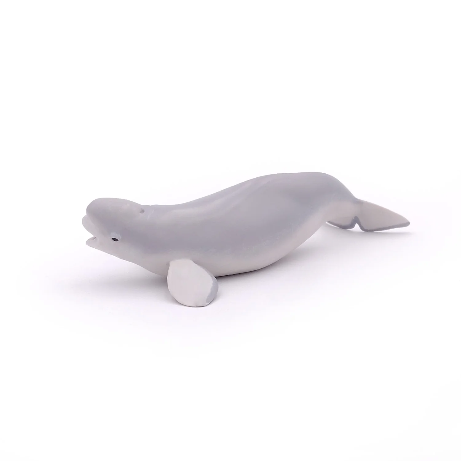 Miniature 5