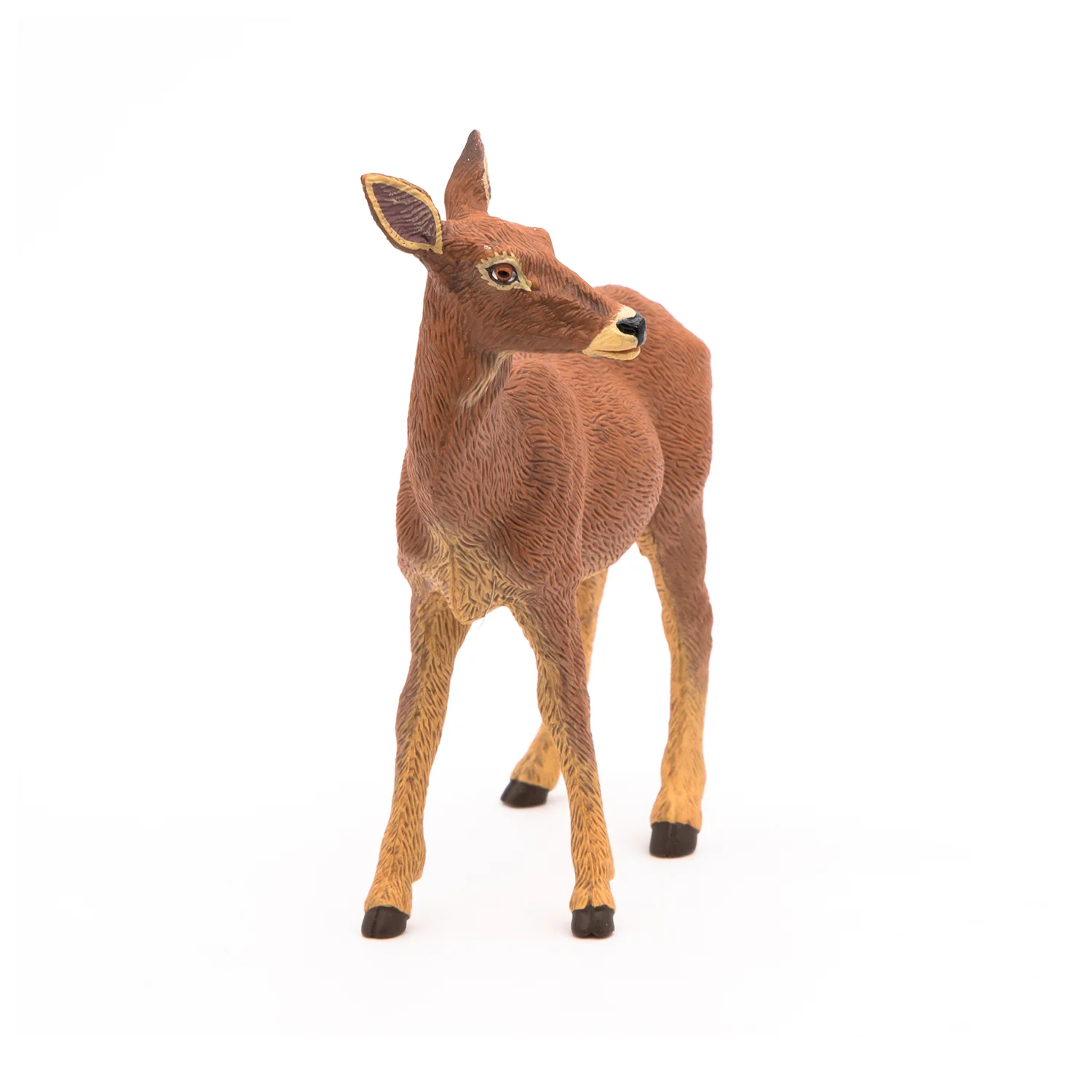 Miniature 3