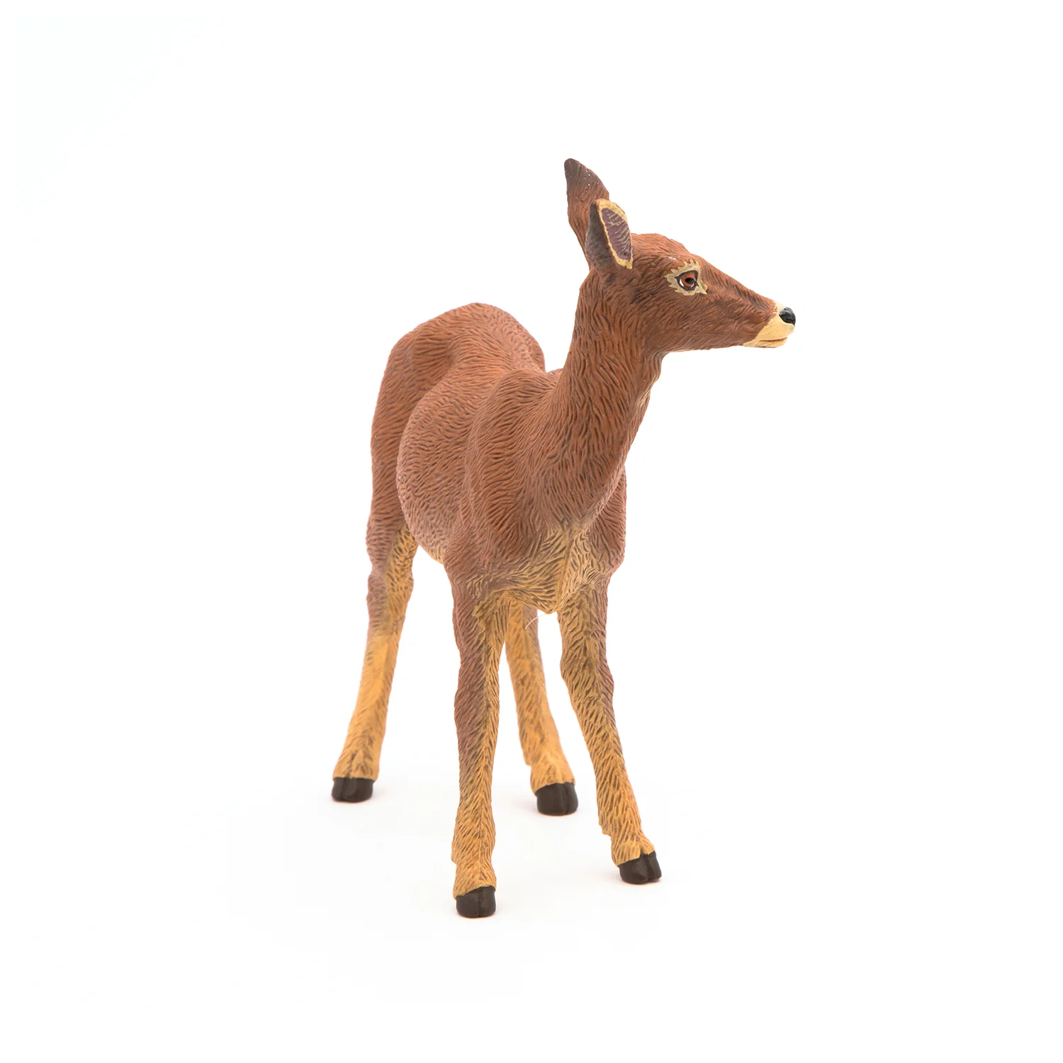 Miniature 4
