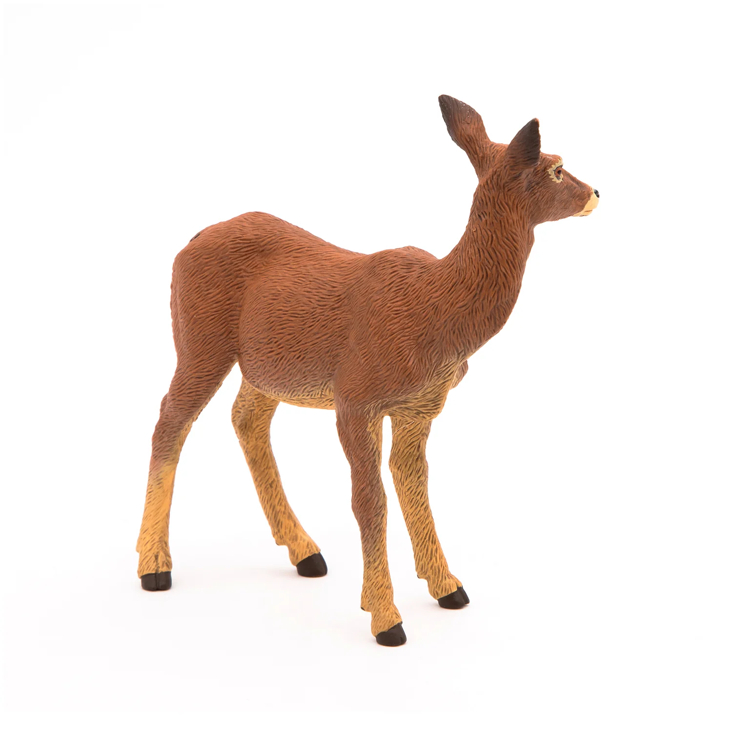 Miniature 5