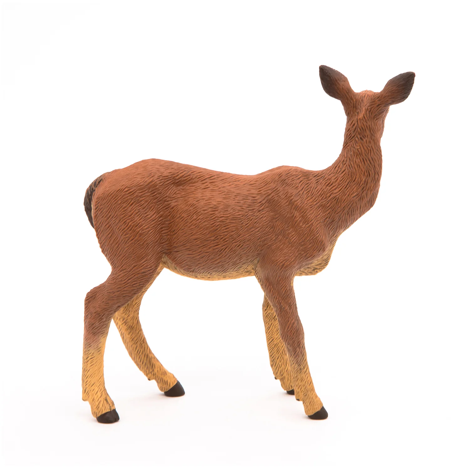 Miniature 6