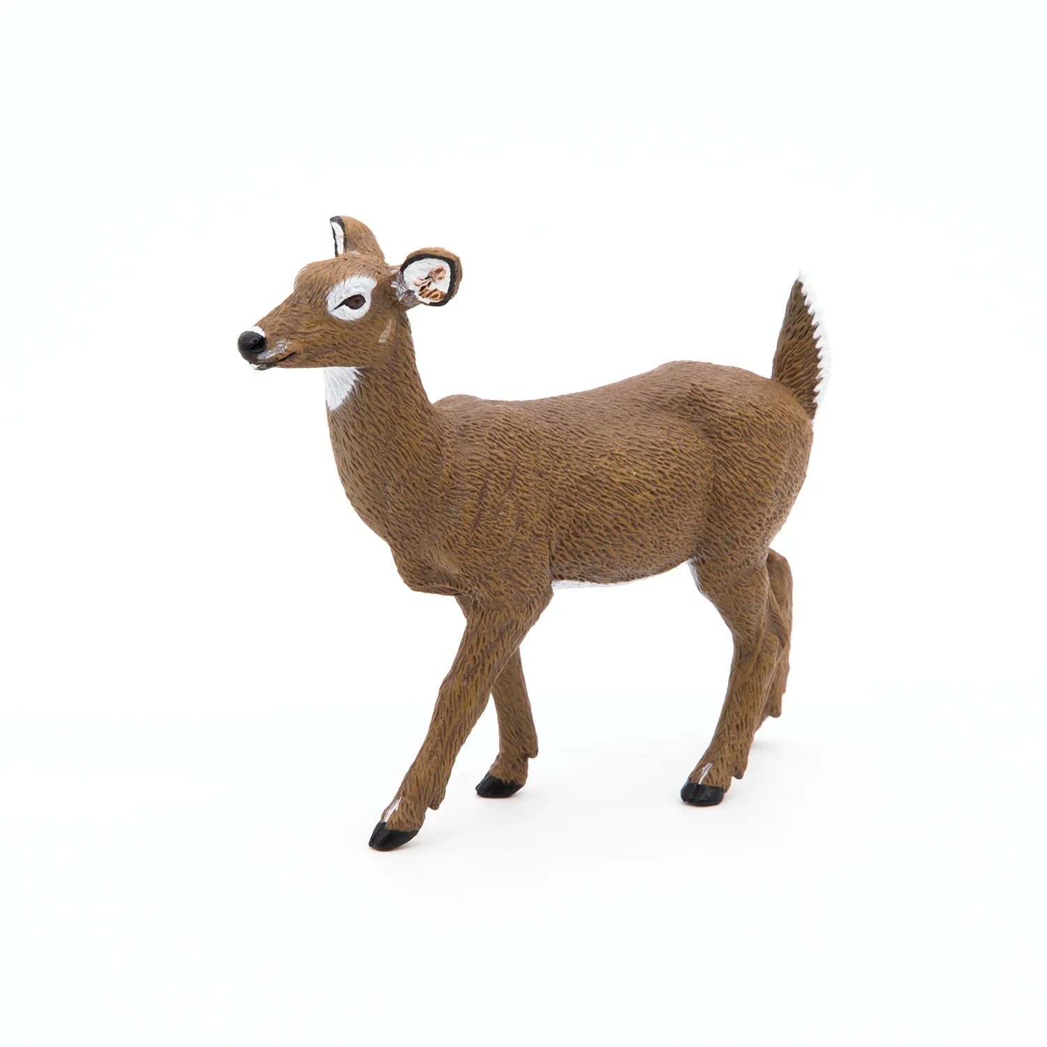 Miniature 5