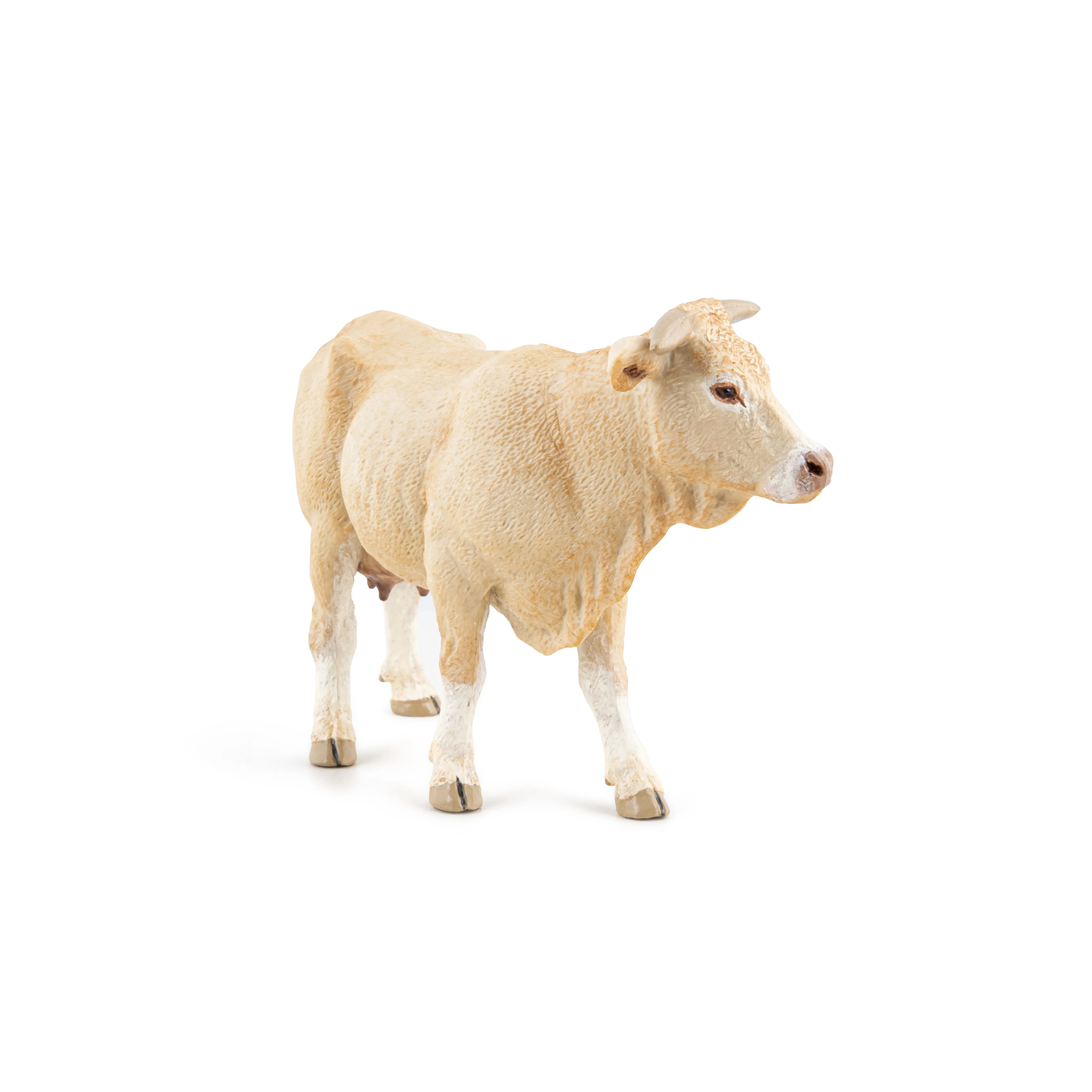 Miniature 4