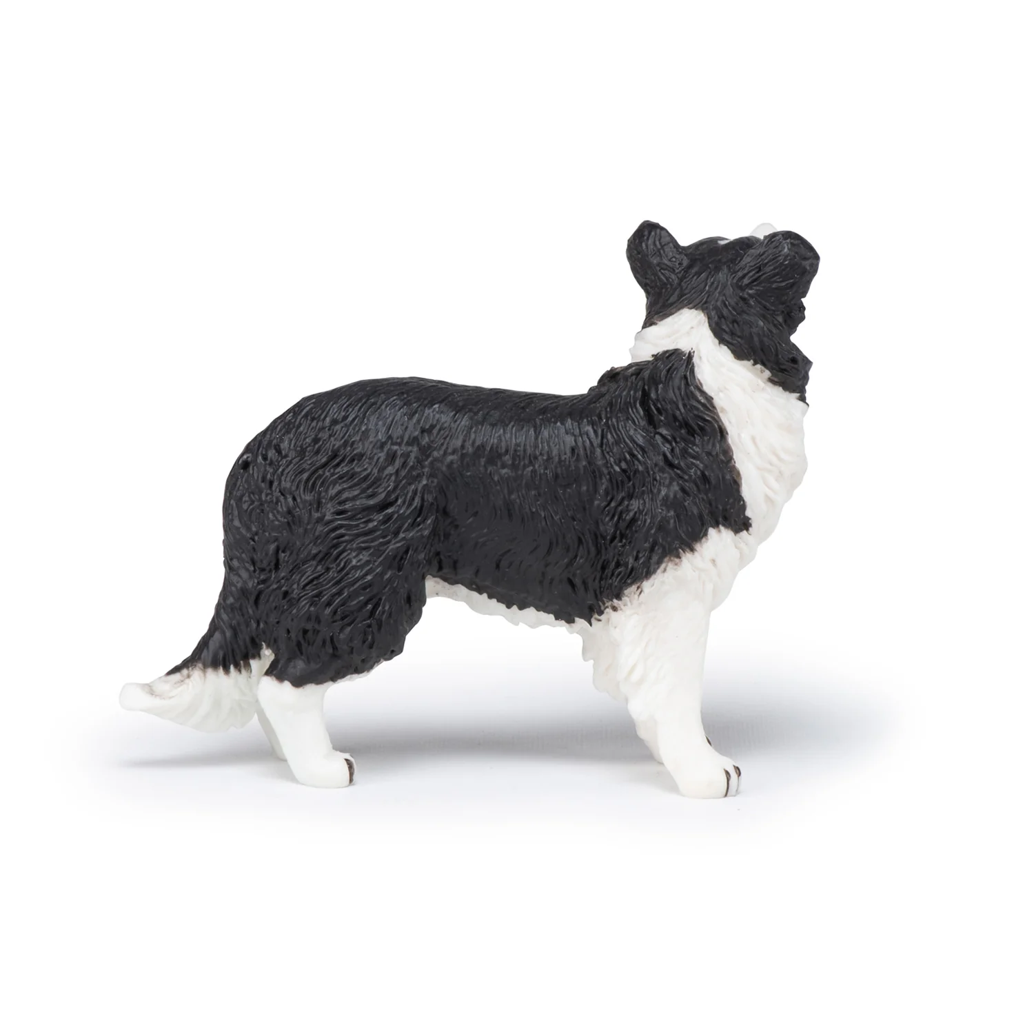 Miniature 5