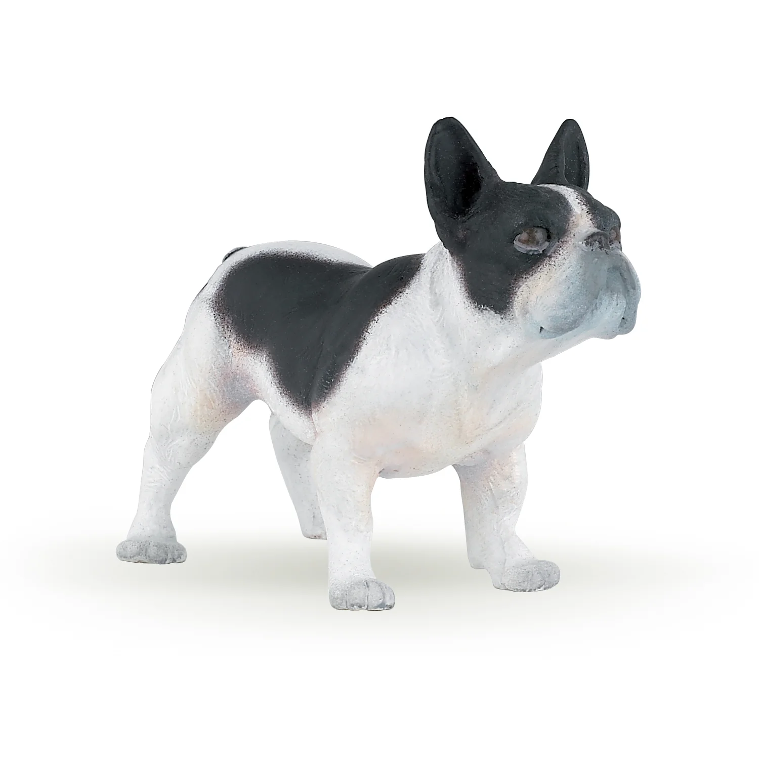 Miniature 1