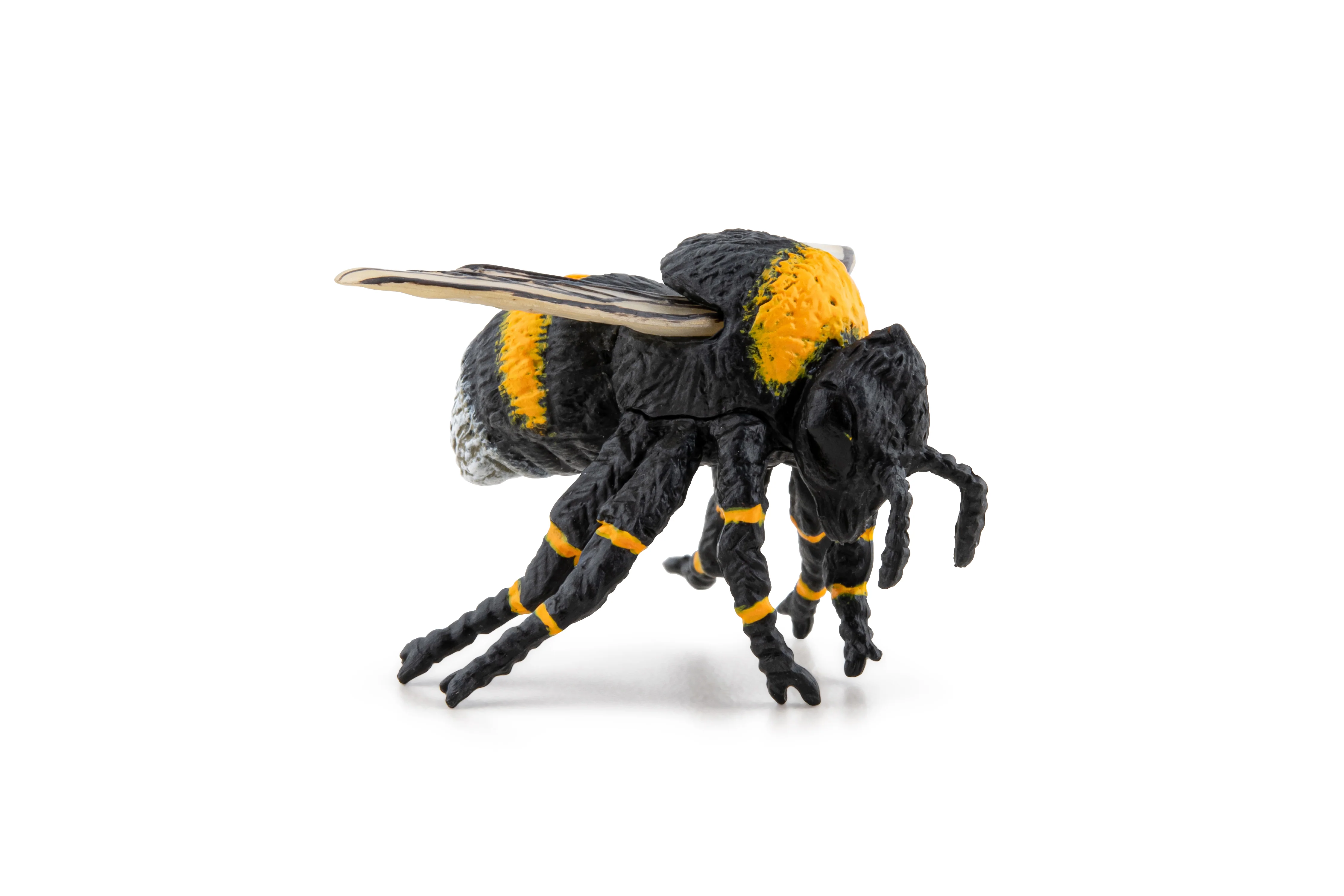 Miniature 5