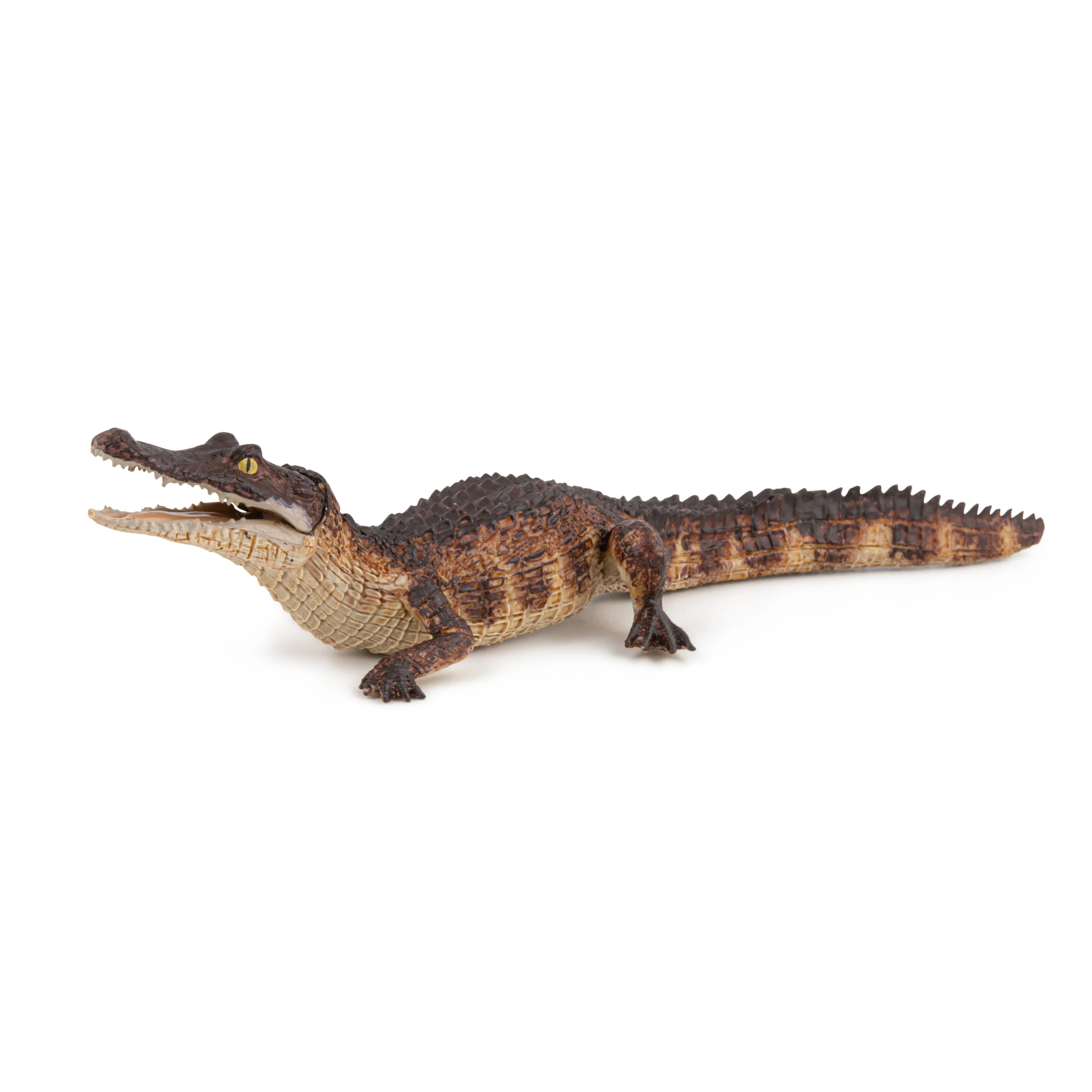 Miniature 4