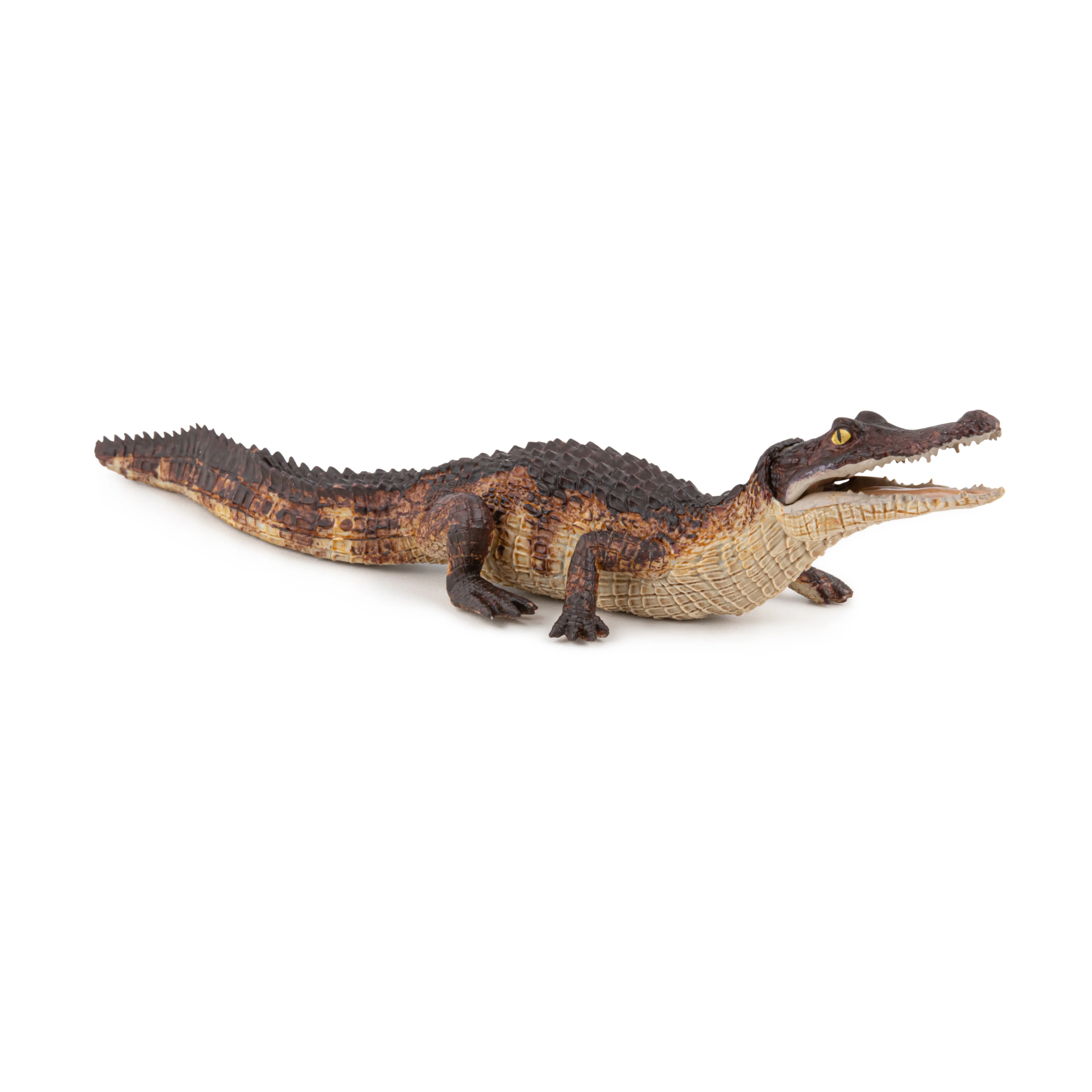 Miniature 5