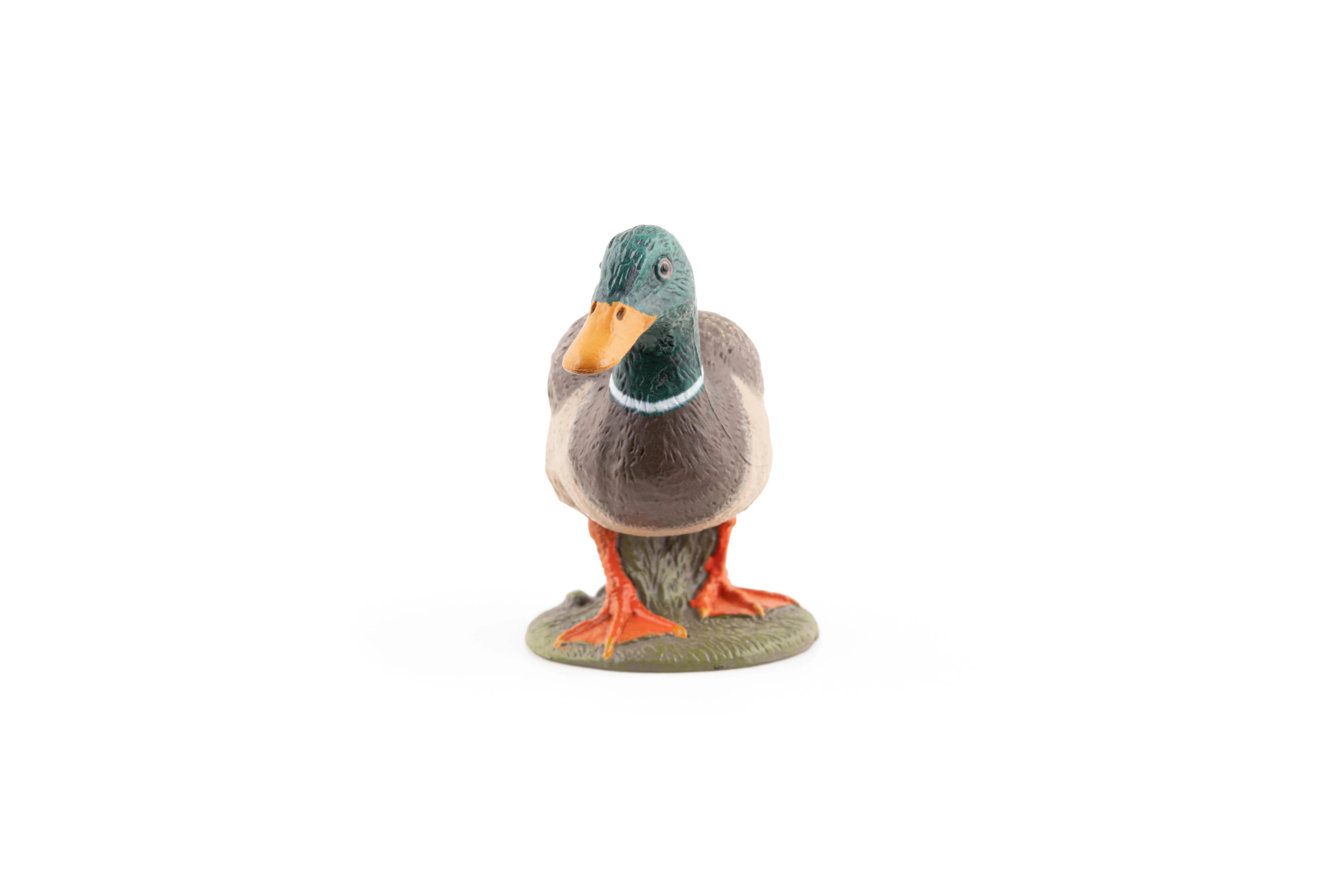 Miniature 4