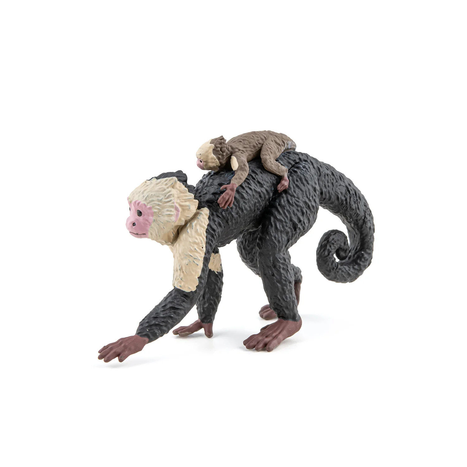 Miniature 5