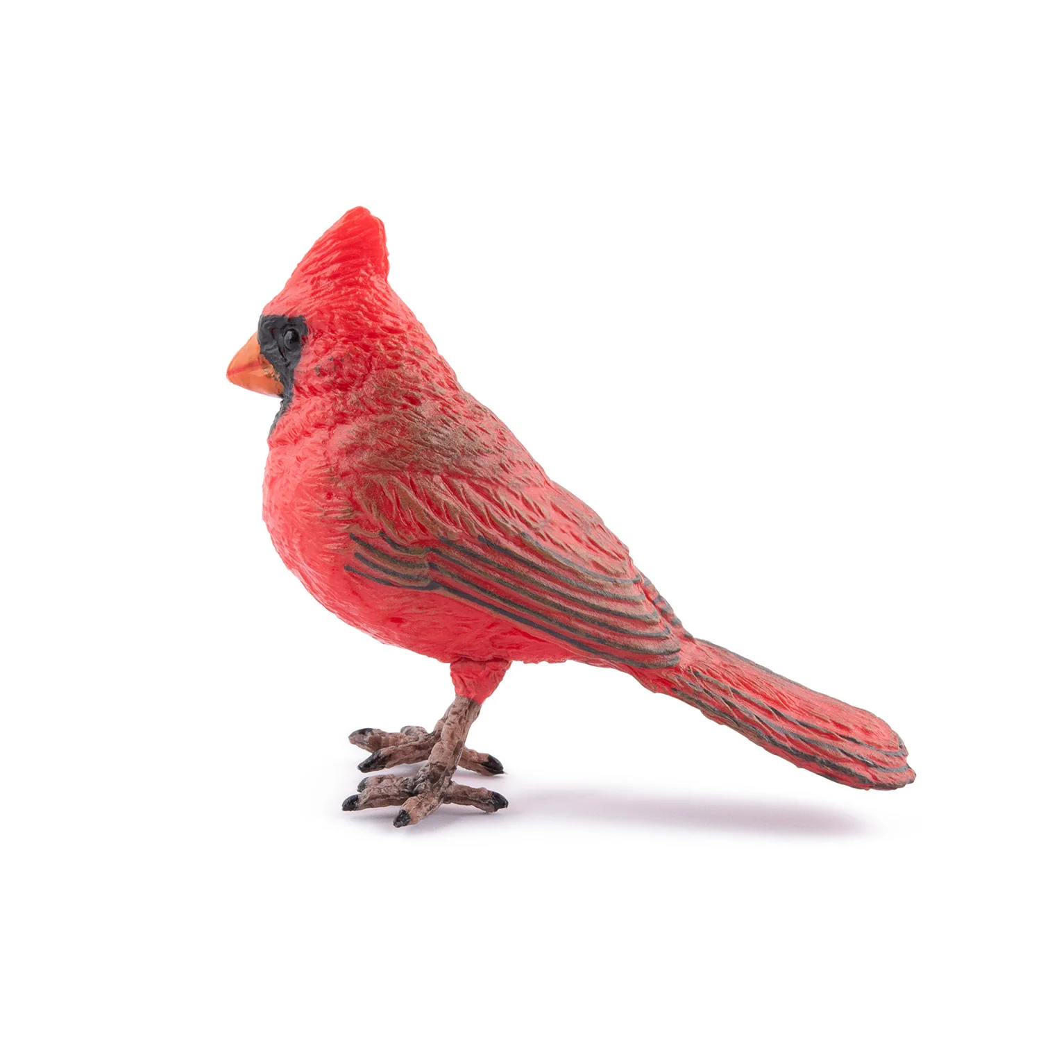 Miniature 5