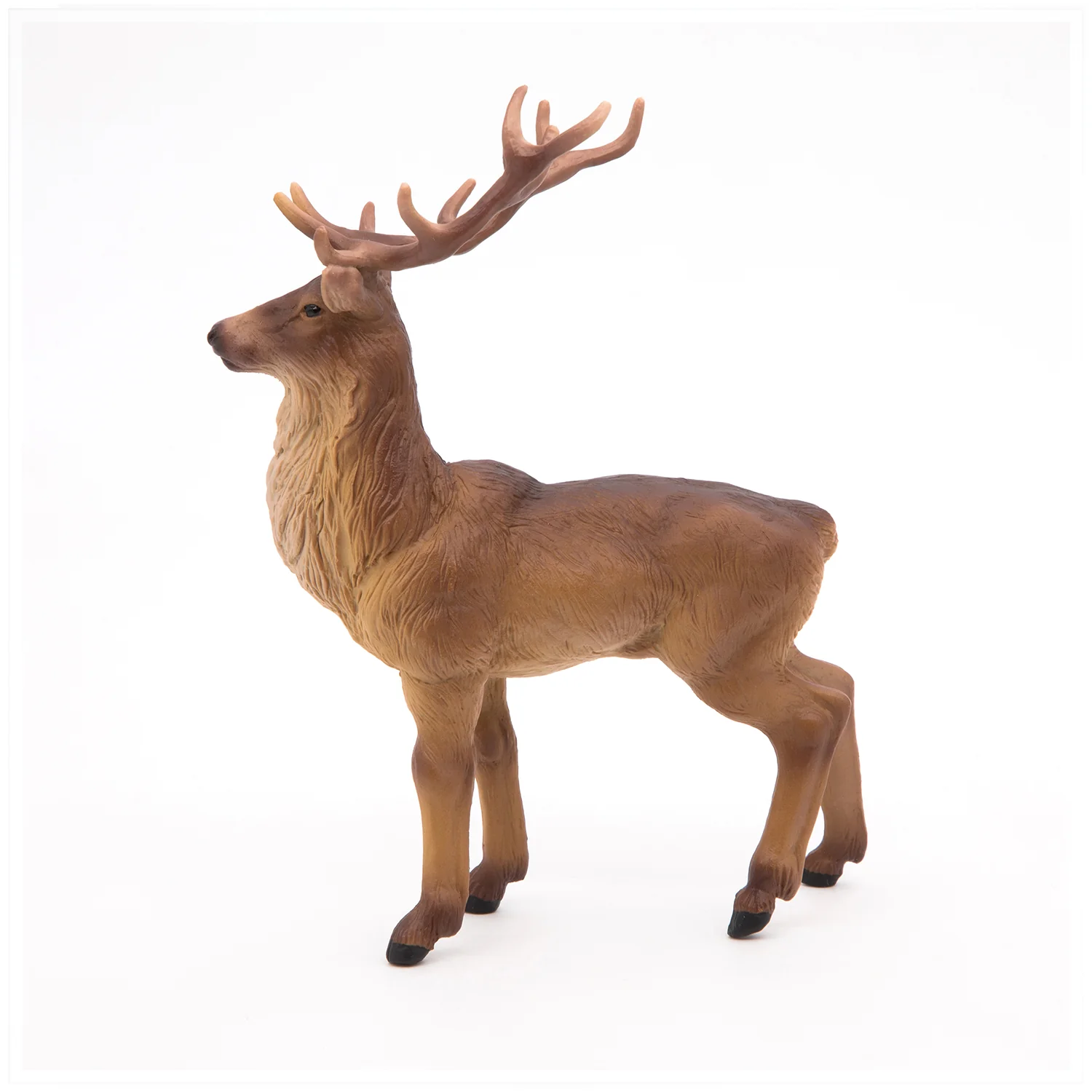Miniature 5