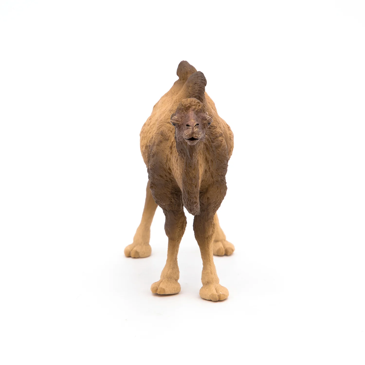 Miniature 5