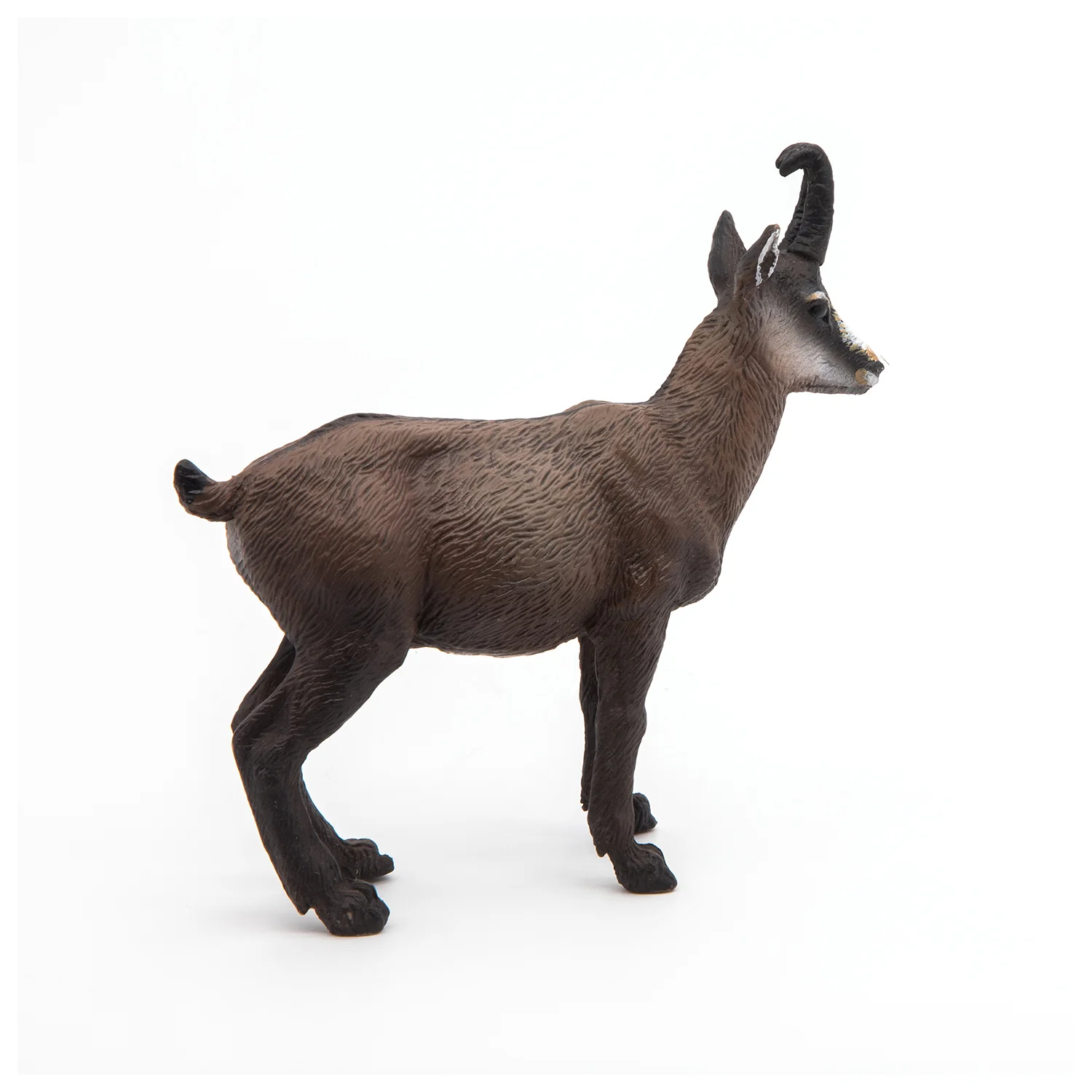 Miniature 2