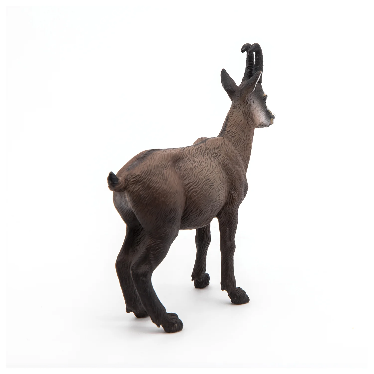 Miniature 3