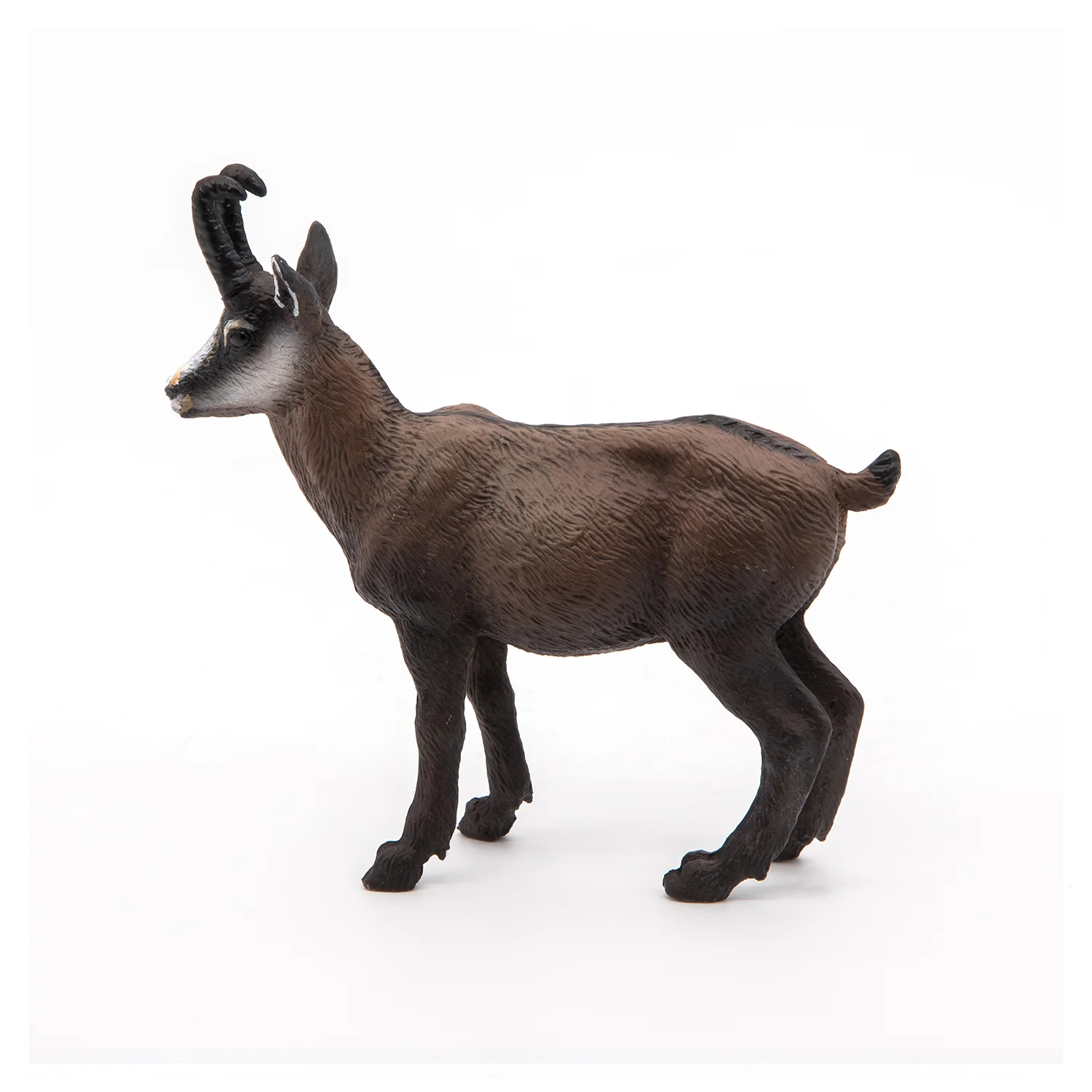 Miniature 5