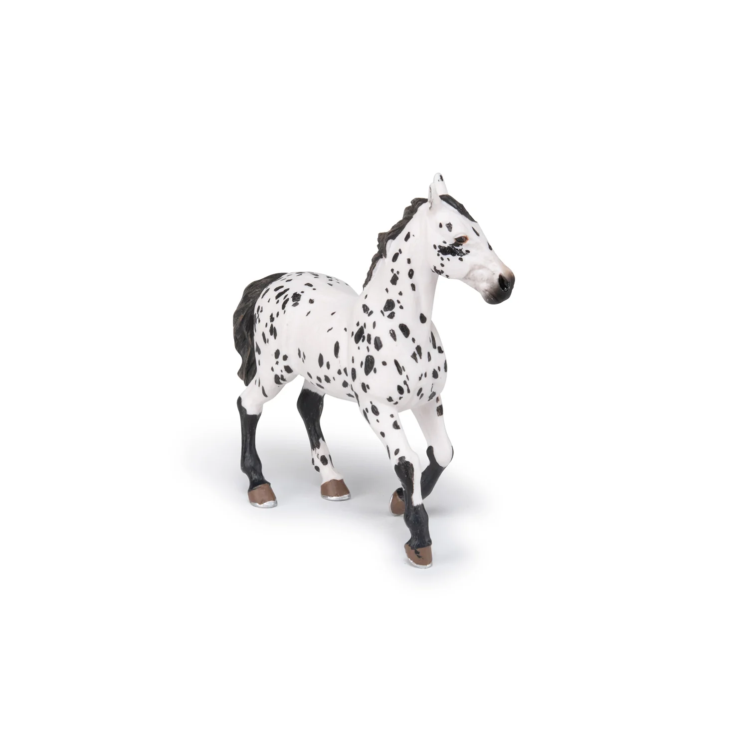 Miniature 5