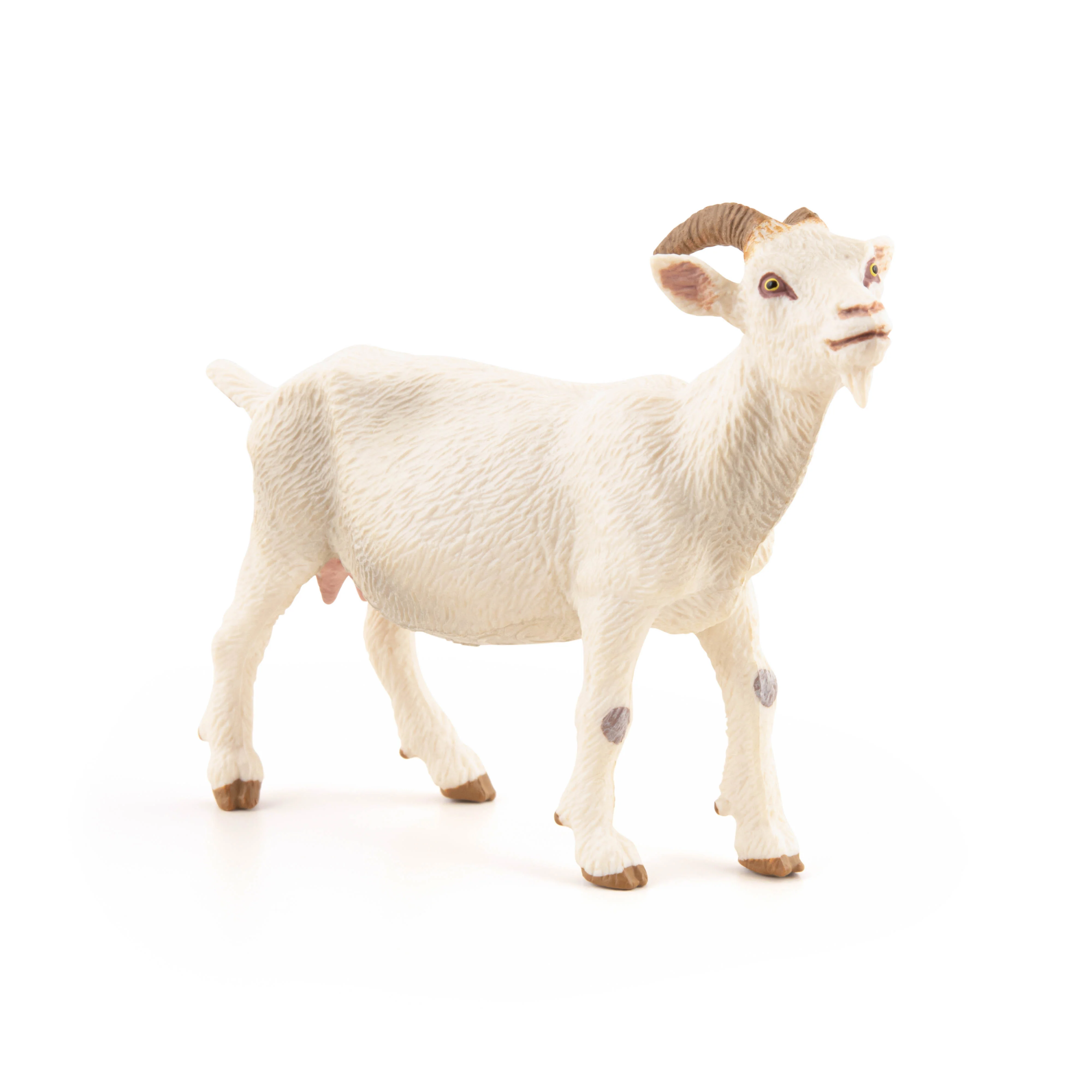 Miniature 2
